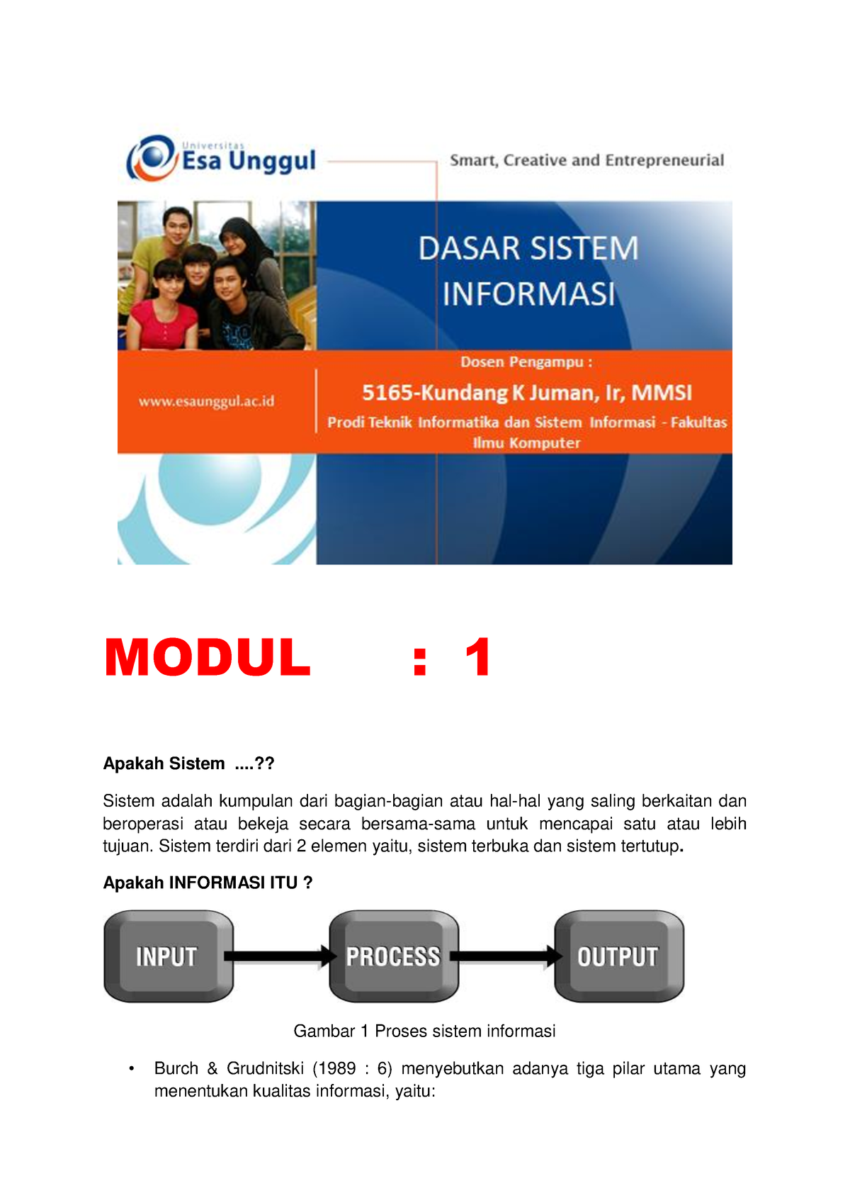 Modul-01-DSI - Modul - MODUL : 1 Apakah Sistem ....?? Sistem Adalah ...