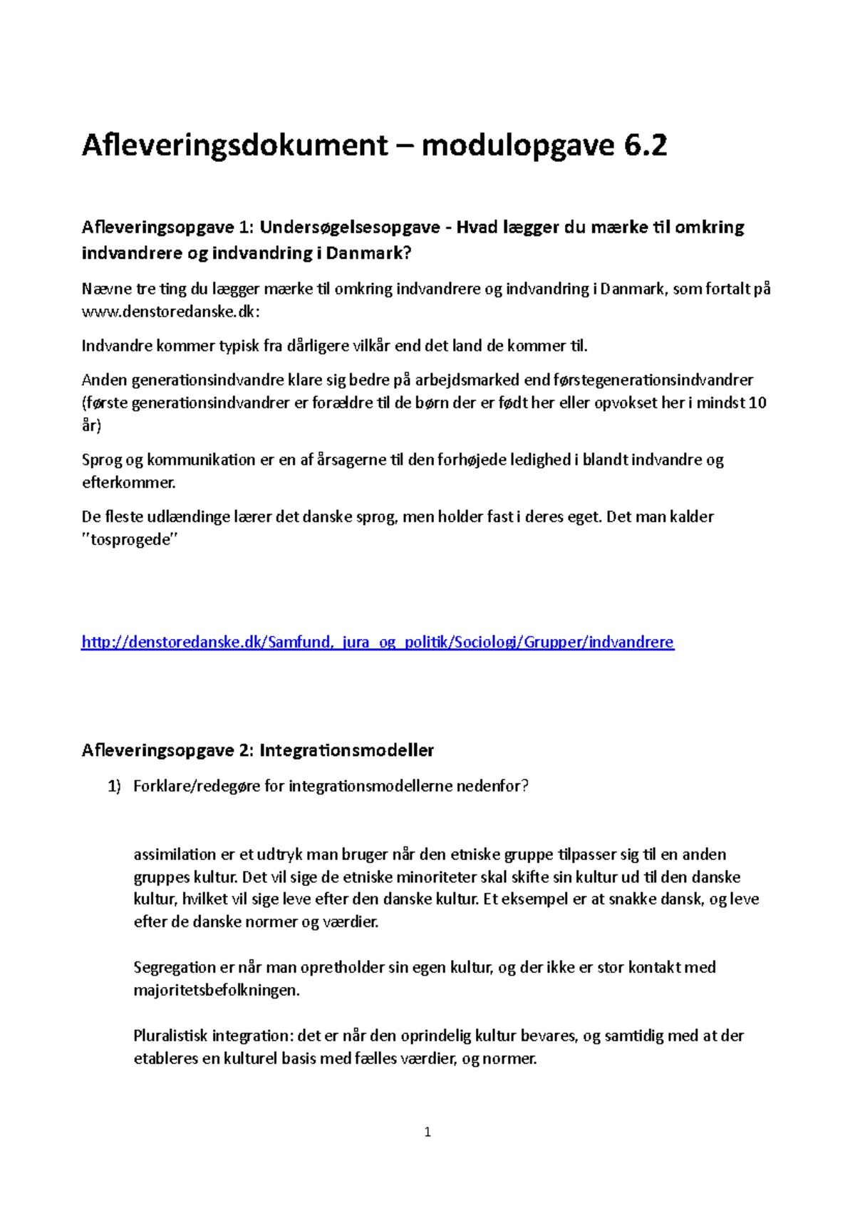 Integration Og Kultur - Afleveringsdokument – Modulopgave 6 ...