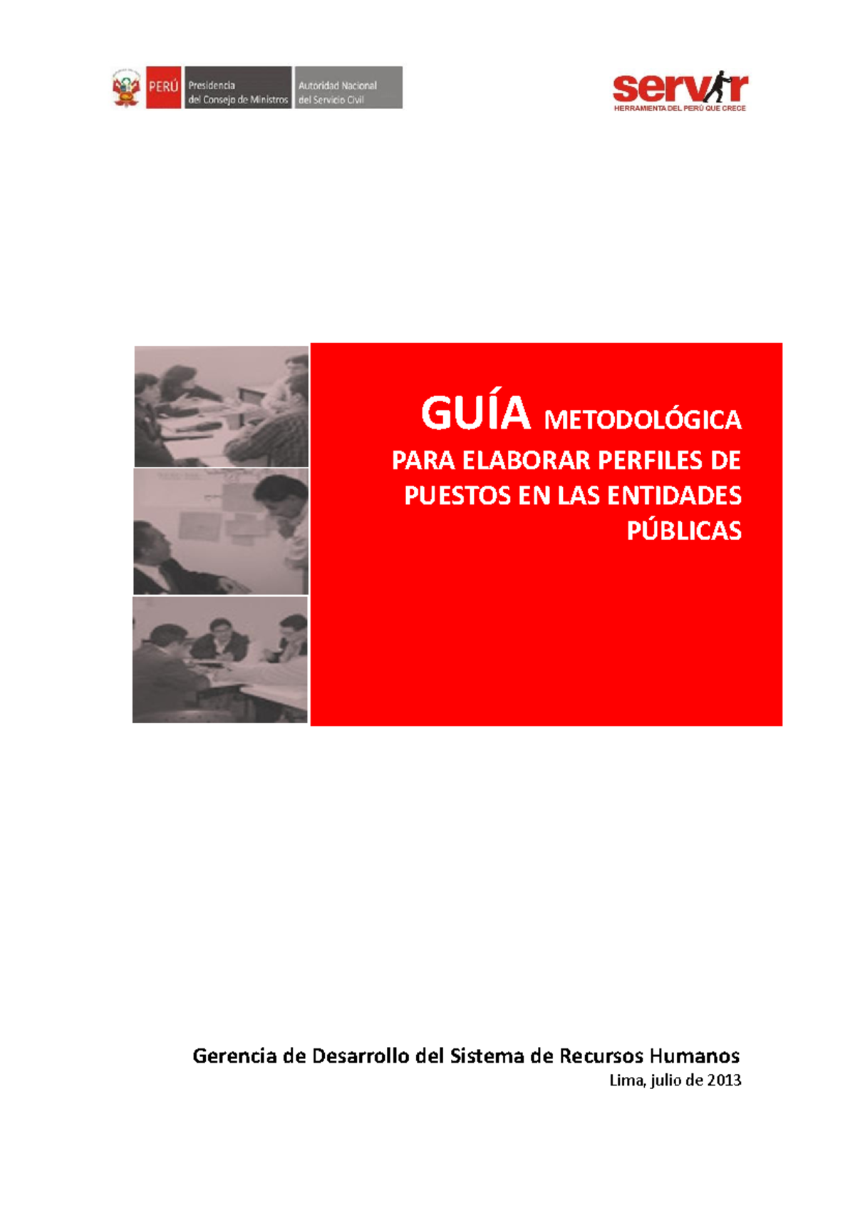 Guia Metodologica Elaborar Perfiles De Puestos Gerencia De Desarrollo