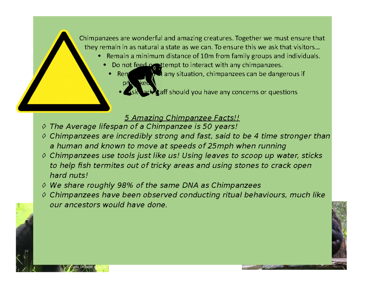 Chimpanzees are wonderful and amazing creatures - Together we must