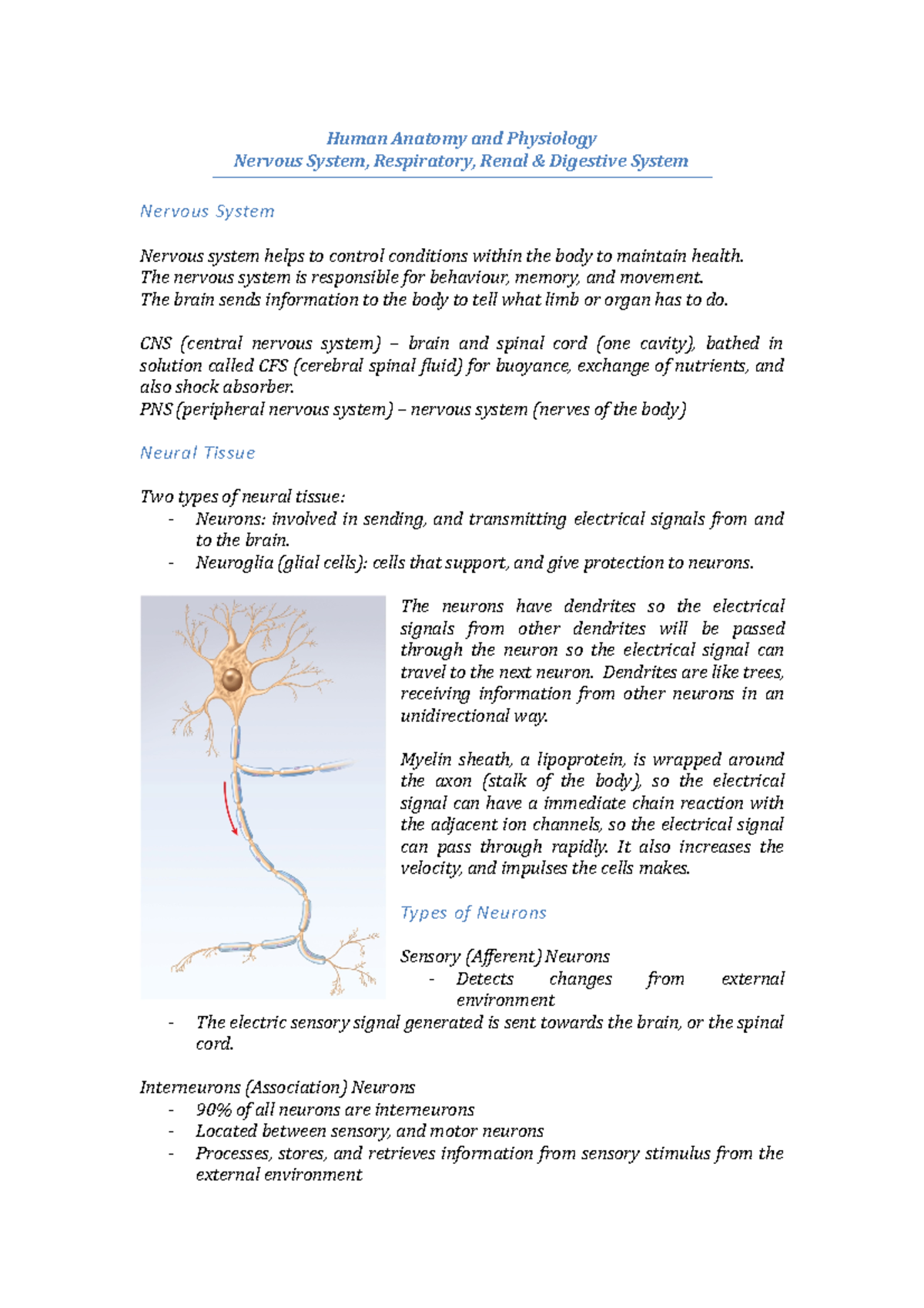 Nervous System - Human Anatomy and Physiology Nervous System ...