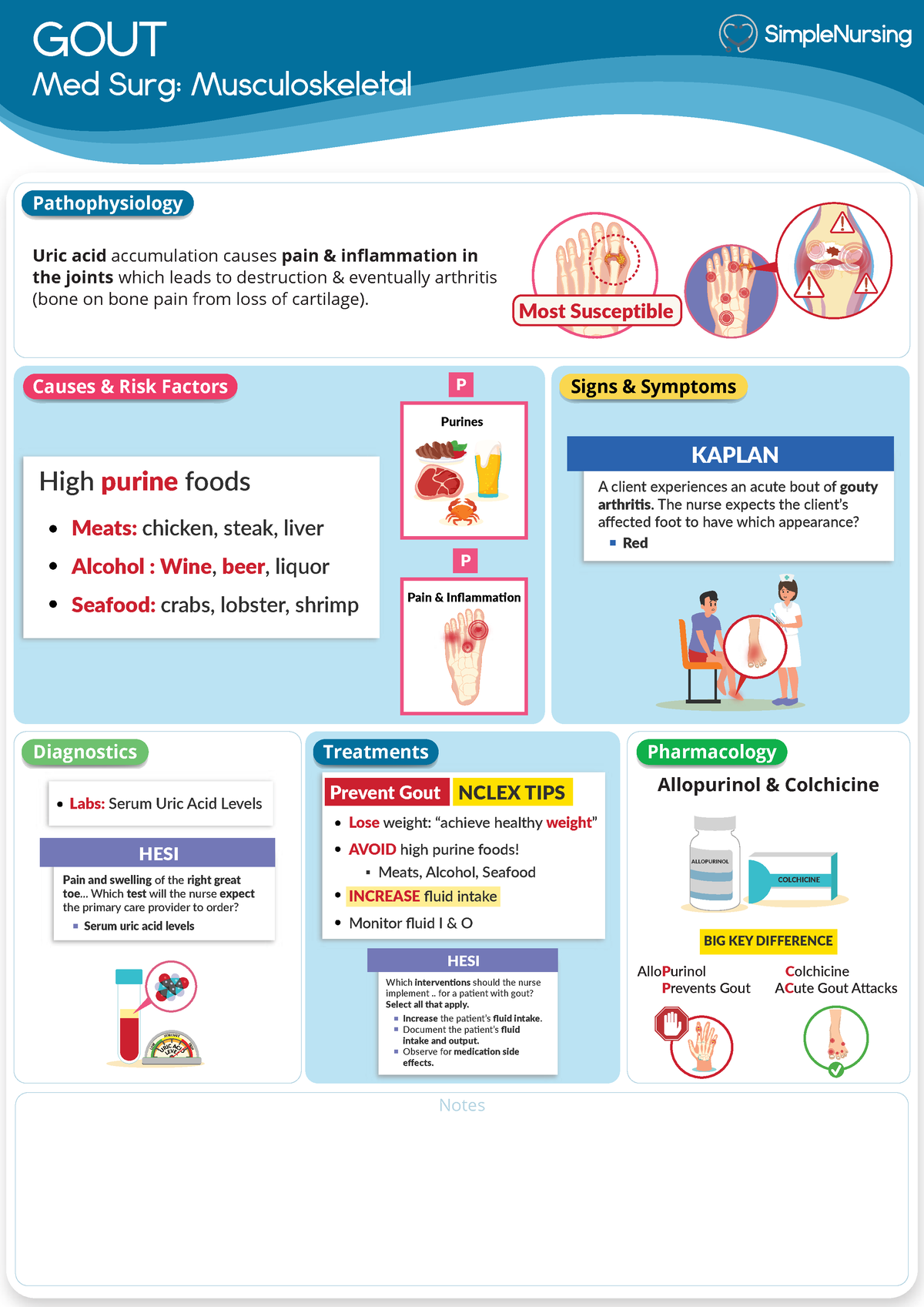 Musculoskeletal - Gout - GOUT Med Surg: Musculoskeletal Pharmacology ...