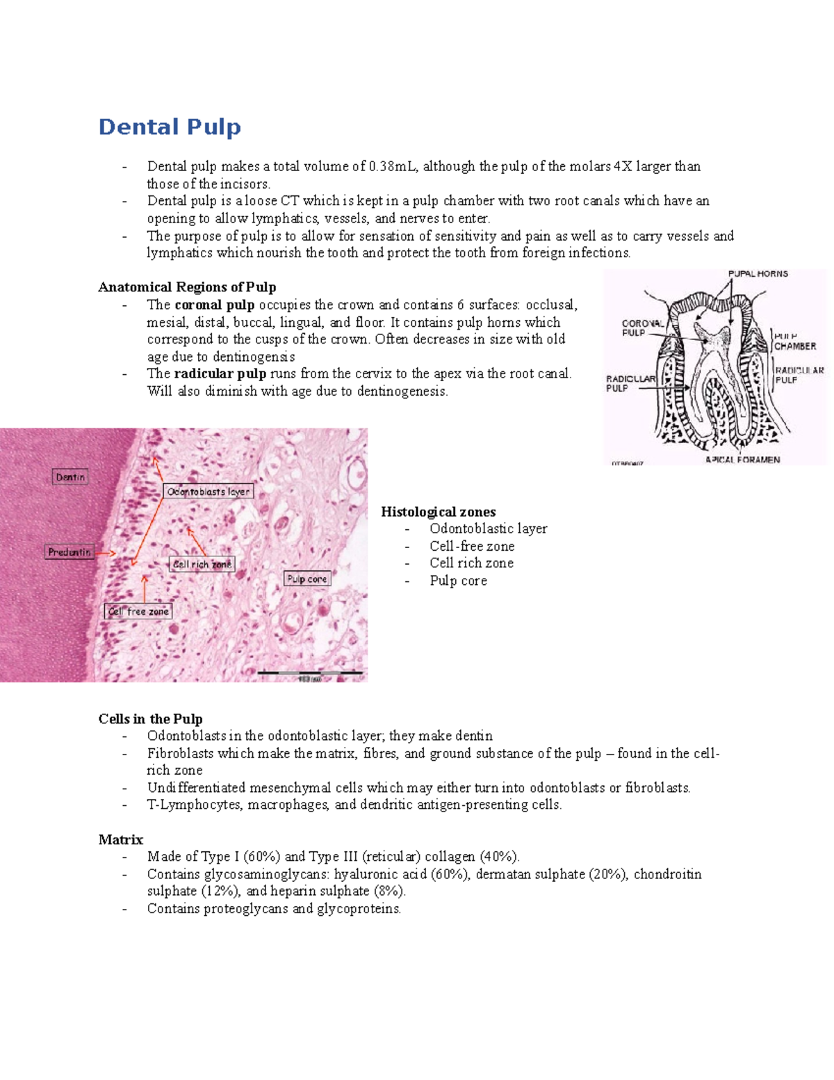 Dentistry Notes Dental Pulp Dental pulp makes a total volume of 0