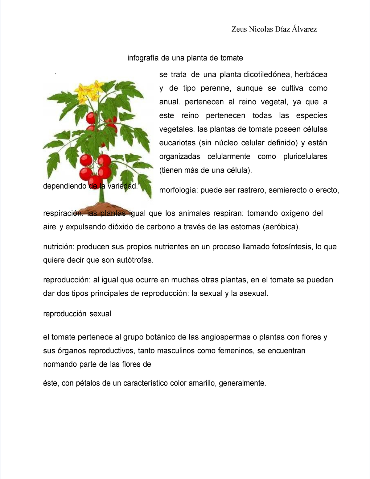 Niko Biologia Zeus Nicolas Díaz Álvarez Infografía De Una Planta De Tomate Dependiendo De 8613