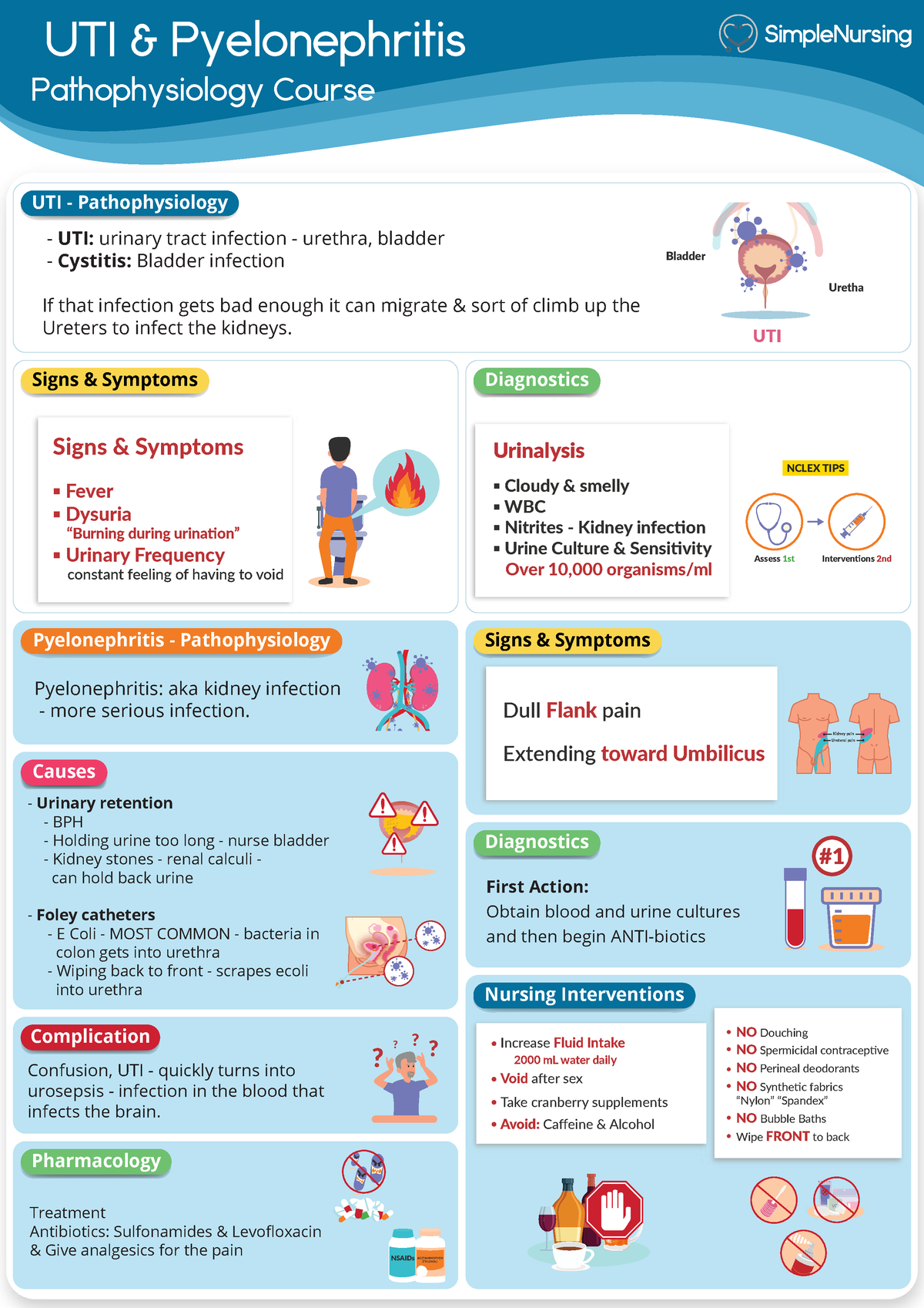 Pyelonephritis.notes - UTI & Pyelonephritis Pathophysiology Course ...