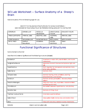 Week 3 somatic reflex ap2 - Name ___________________ Somatic Reflex ...