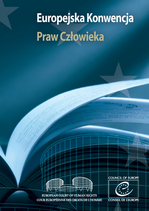 MIĘ Dzynarodowa Ochrona PRAW CZŁ Owieka - MIĘDZYNARODOWA OCHRONA PRAW ...