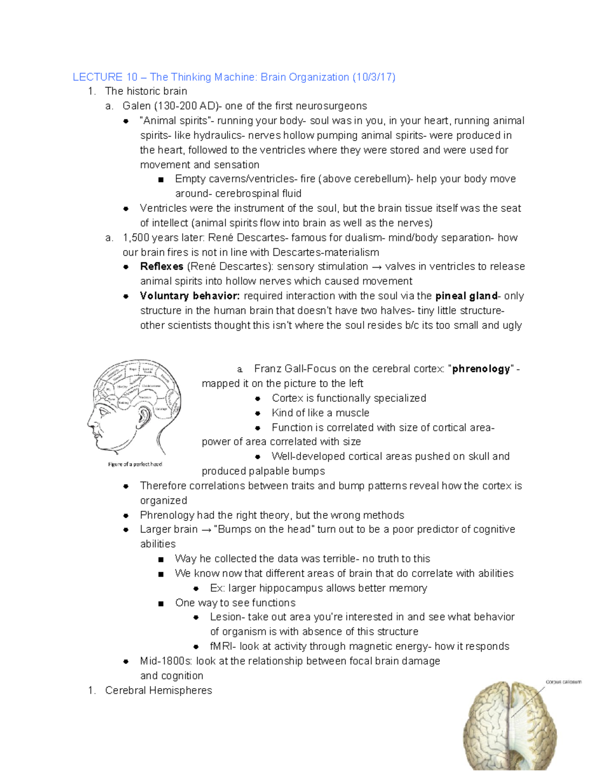 PSYC110 Test #2 Notes - Prof. Kazama - LECTURE 10 – The Thinking ...