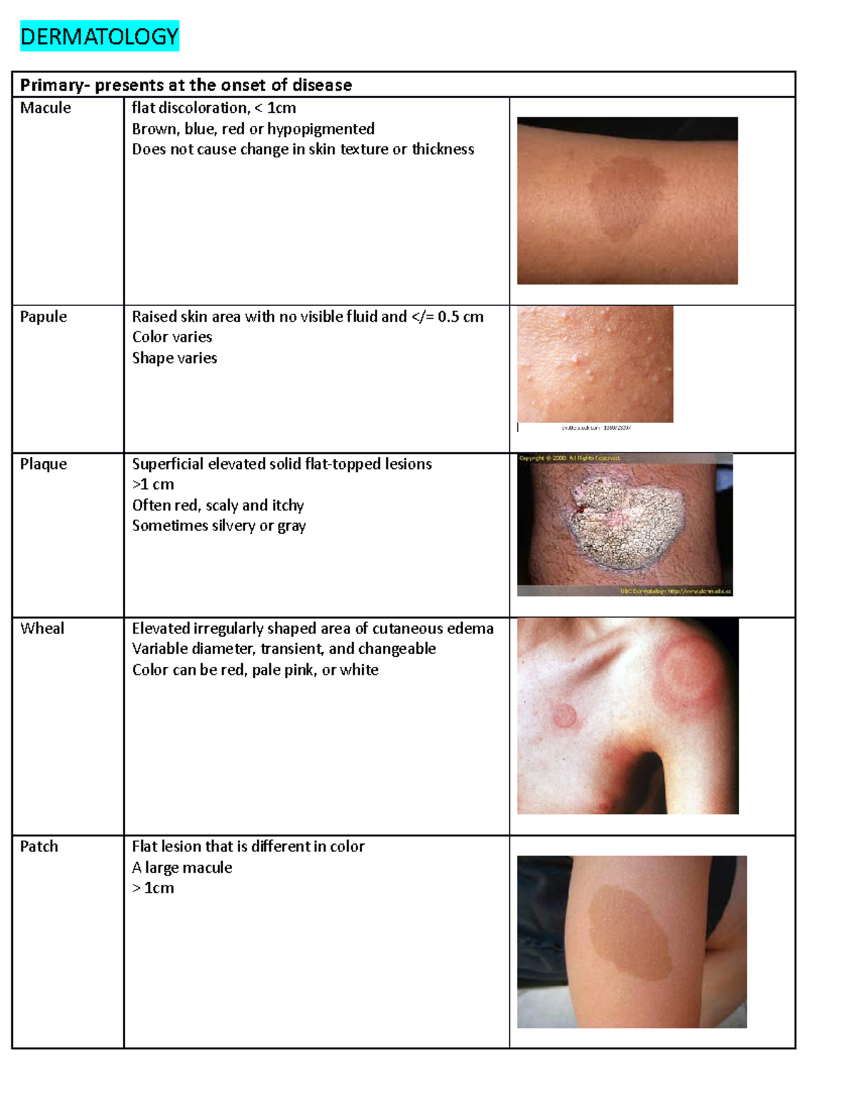 Dermatology Exam 1 - DERMATOLOGY Primary- presents at the onset of ...