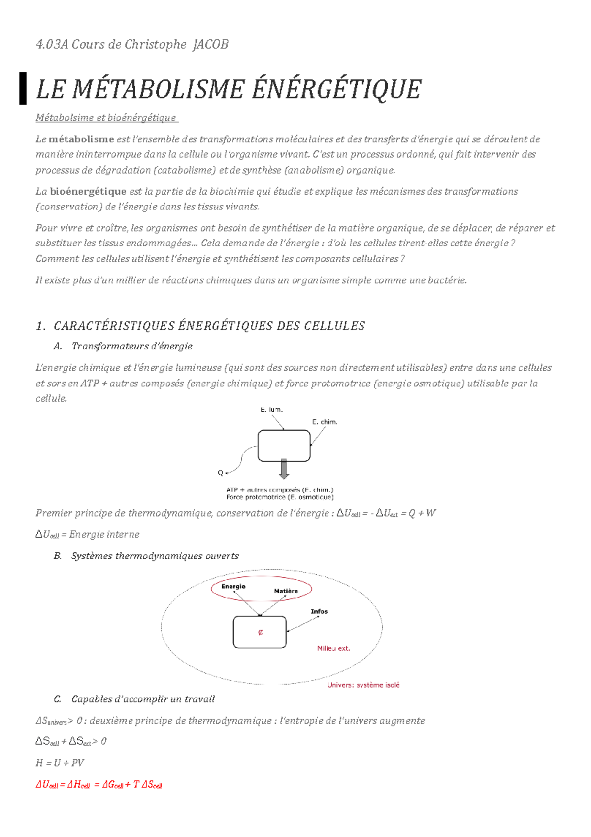 Complément Alimentaire Vitamine B6 100mg - Soutien Métabolisme Et Cœur - Marque Tecepec