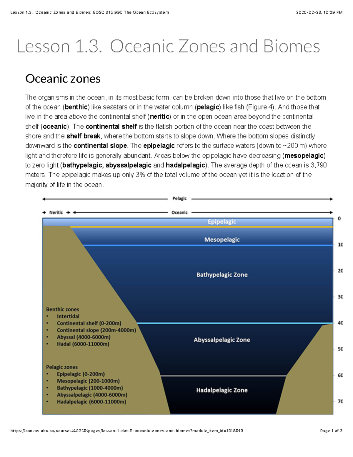 Lesson 1.3. Oceanic Zones and Biomes EOSC 315 99C The Ocean Ecosystem