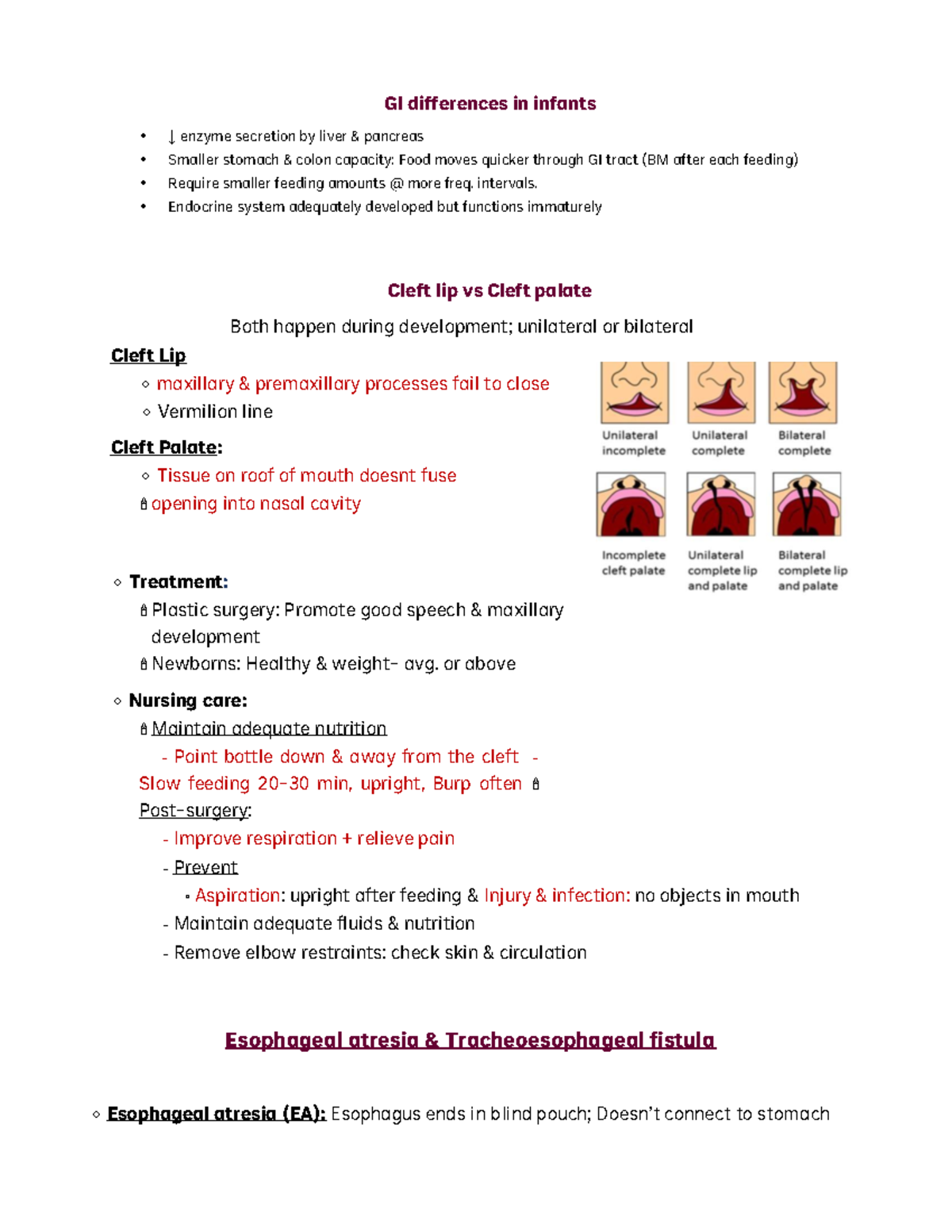 Pediatric Nursing study guide - GI differences in infants ↓ enzyme ...