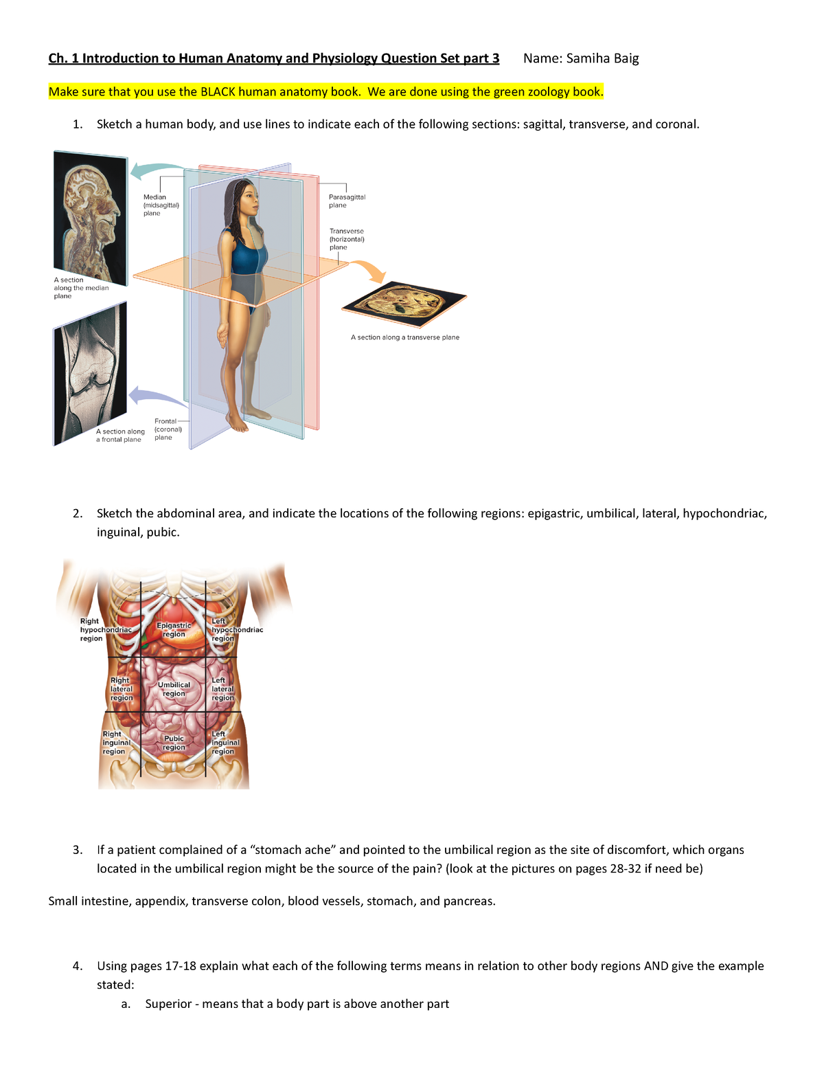 Biology: Anatomy And Physiology Chapter 1 Question Set - Ch. 1 ...