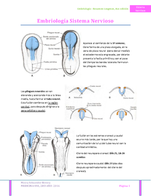 Origen embriológico del Sistema Nervioso sem 1 - NEUROECTODERMO ...