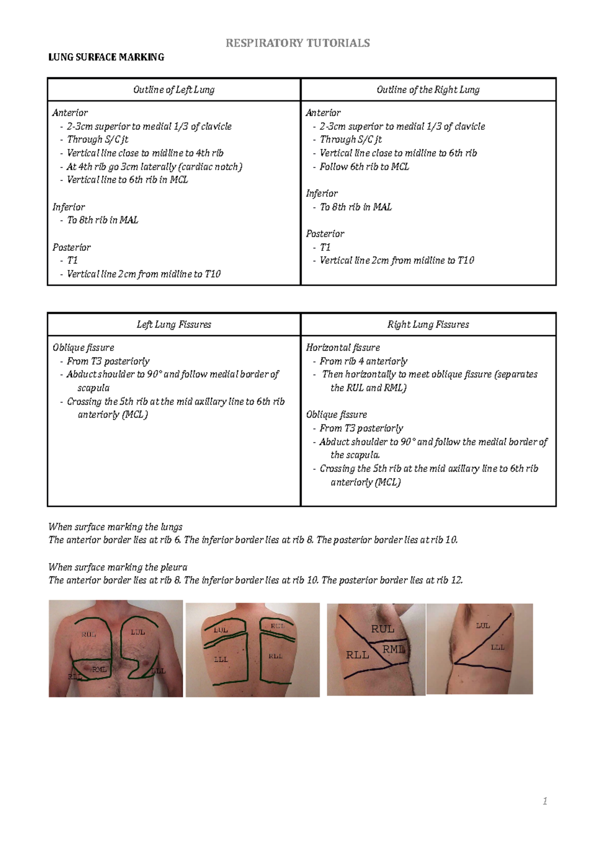 Respiratory Tutorial Notes - LUNG SURFACE MARKING Outline of Left Lung ...