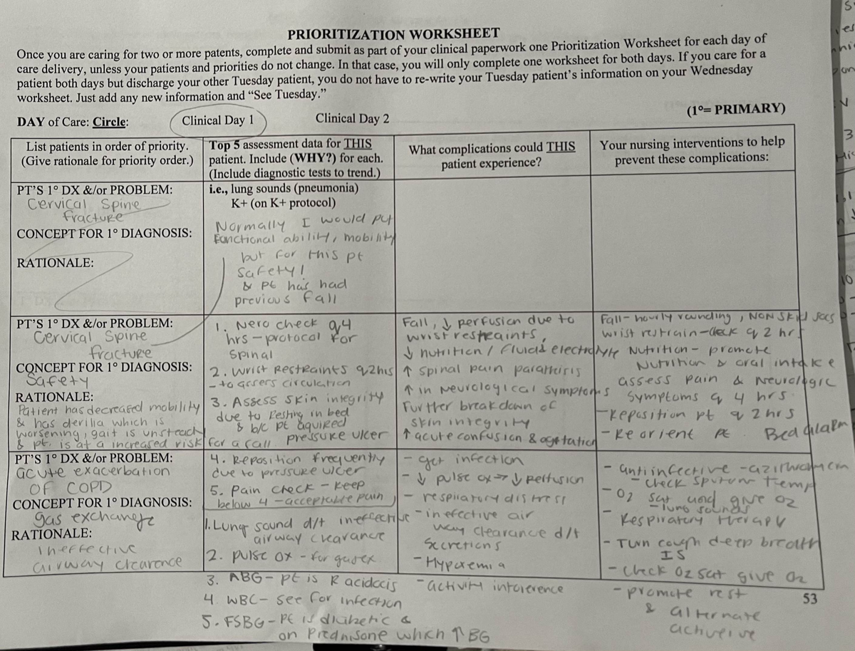 Apr 5, Doc 1 clinical paper work preview with priority - NURS 213C ...