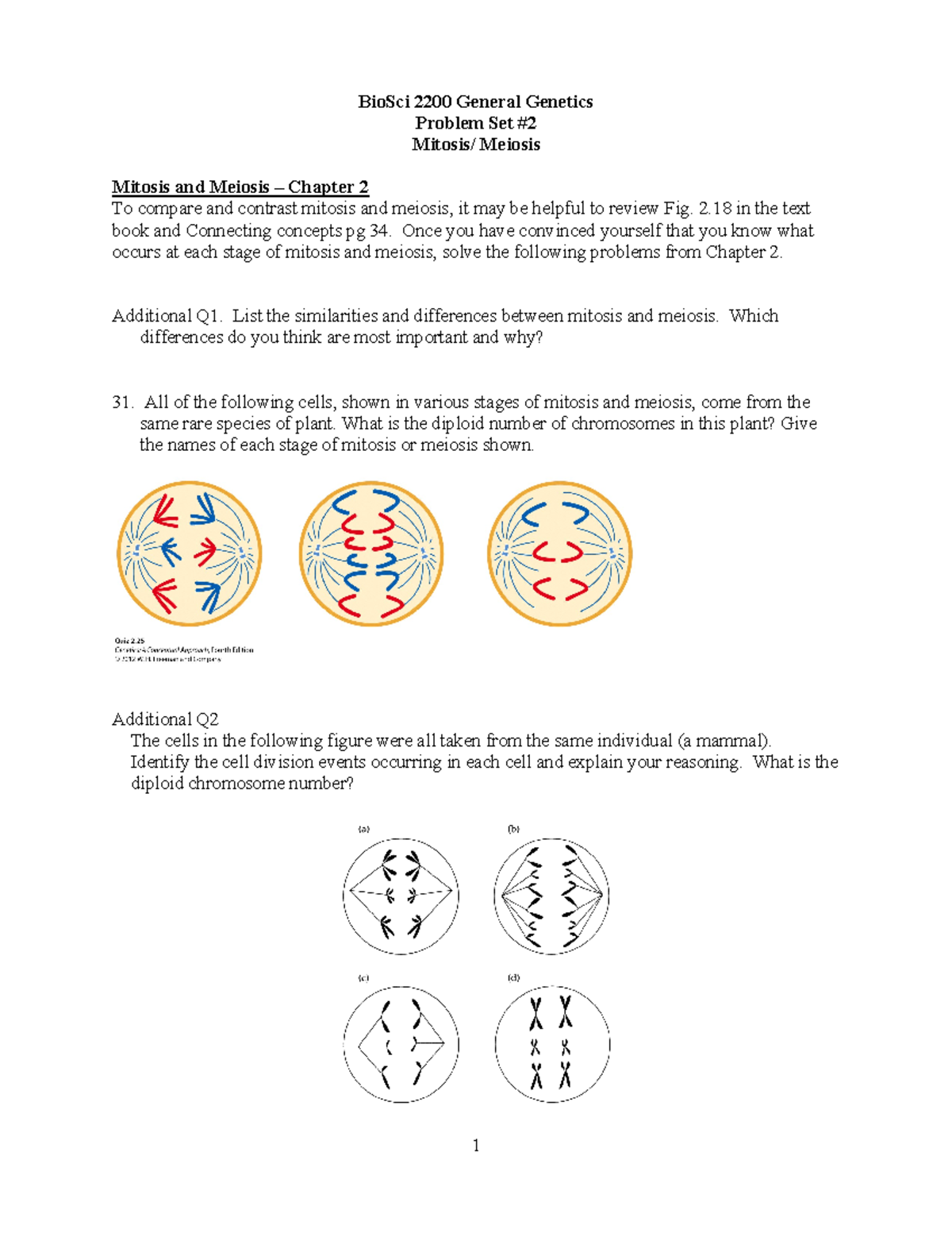 Problem set #2 - 1 BioSci 2200 General Genetics Problem Set # Mitosis ...