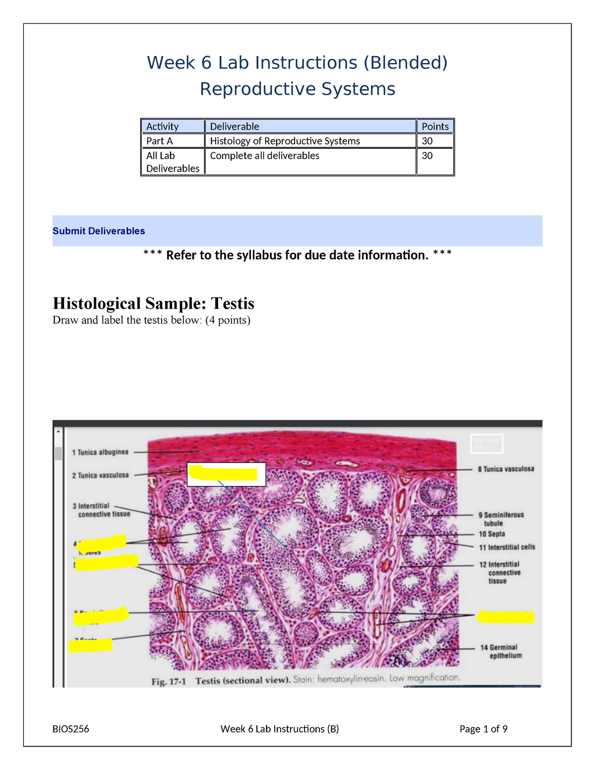 BIOS256 Week 6 Lab May 2022 - Week 6 Lab Instructions (Blended ...