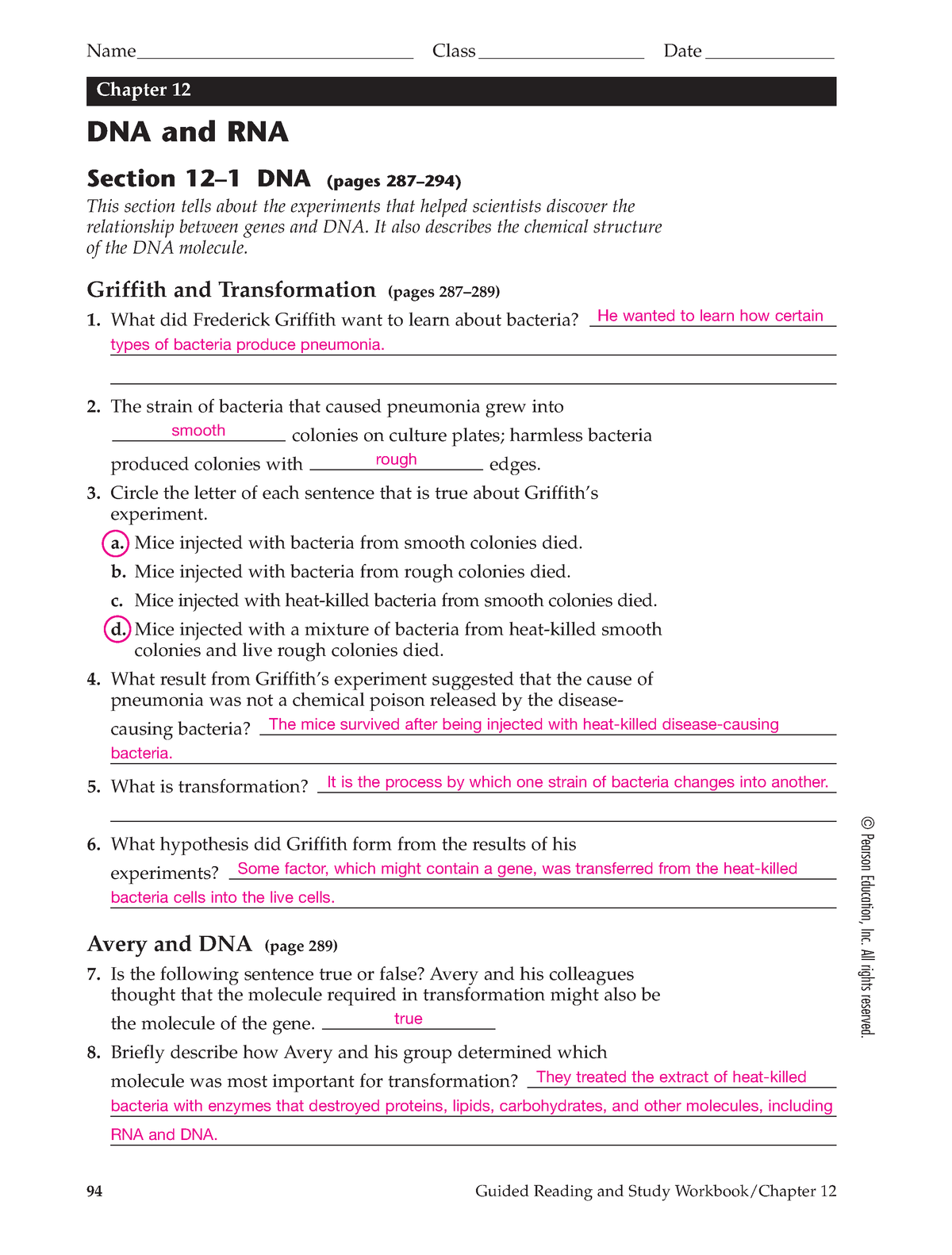 DNA and RNA answer key - DNA & RNA - Chapter 12 DNA and RNA Section 12 ...