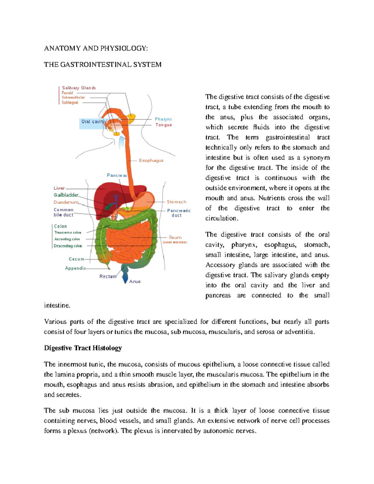 GISystem - Talks about Digestive Tract Histology, Peritoneum and ...