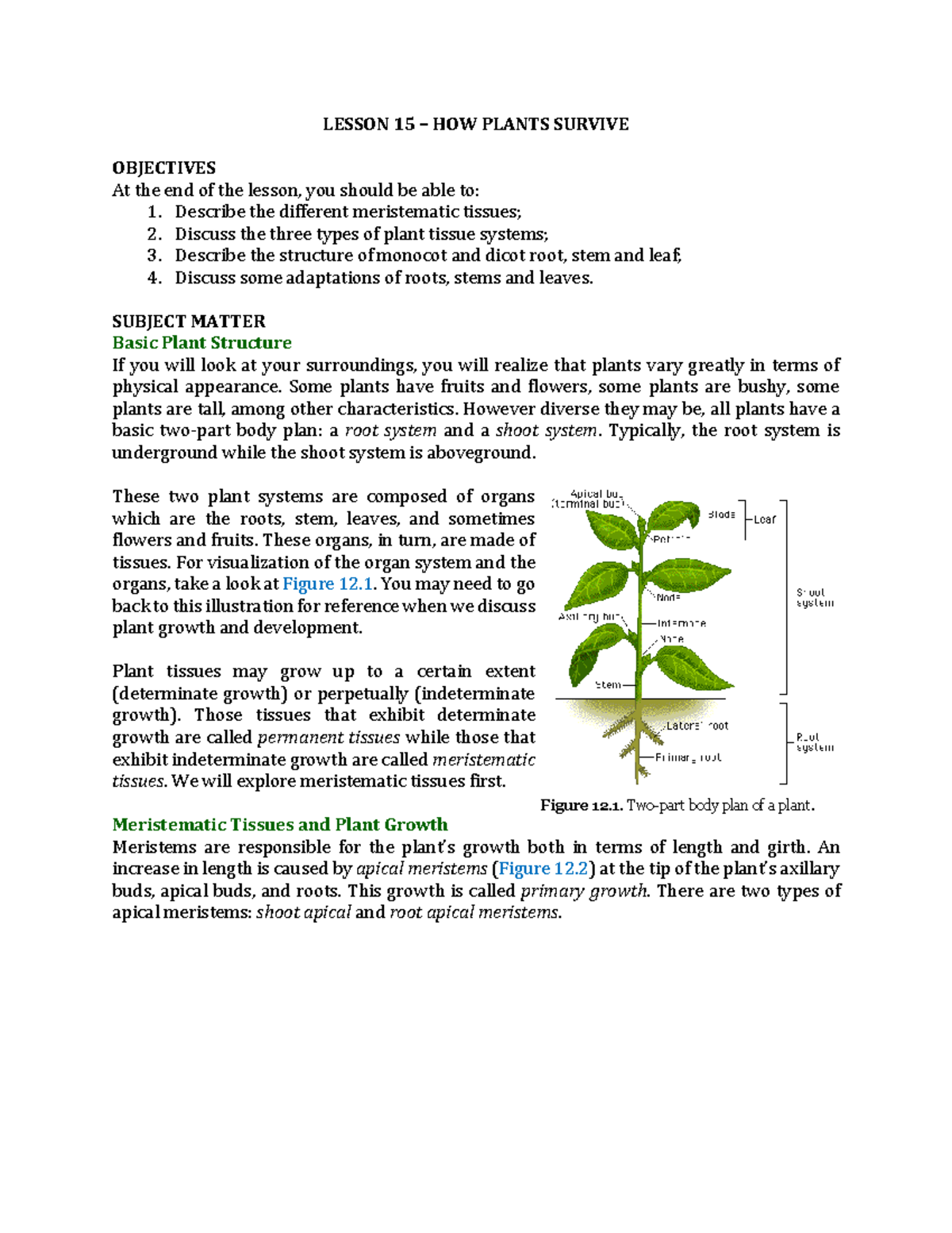 CH5 Lesson 15 How Plants Survive LESSON 15 HOW PLANTS SURVIVE OBJECTIVES At the end of the
