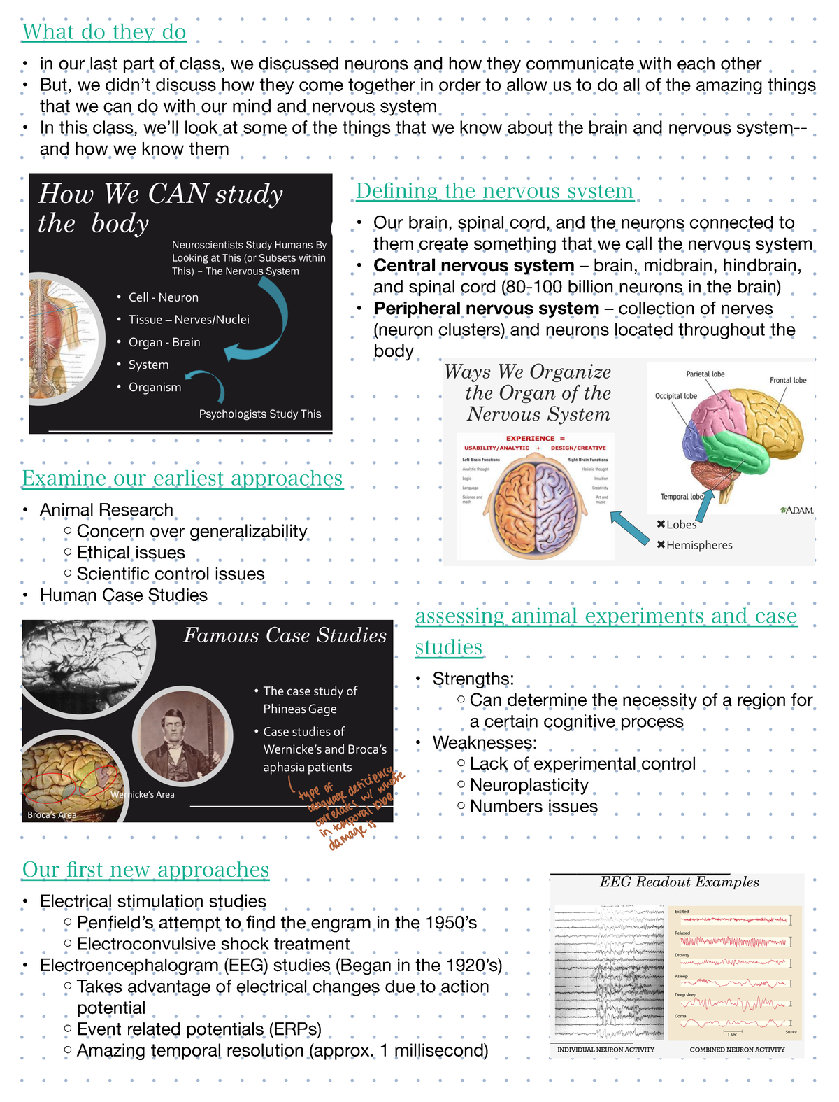 case study of the brain