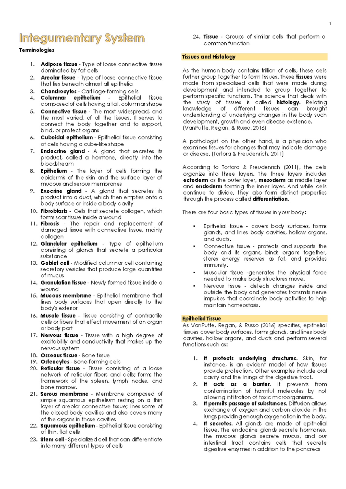 Integumentary System Terminologies Adipose Tissue Type Of Loose Connective Tissue Dominated