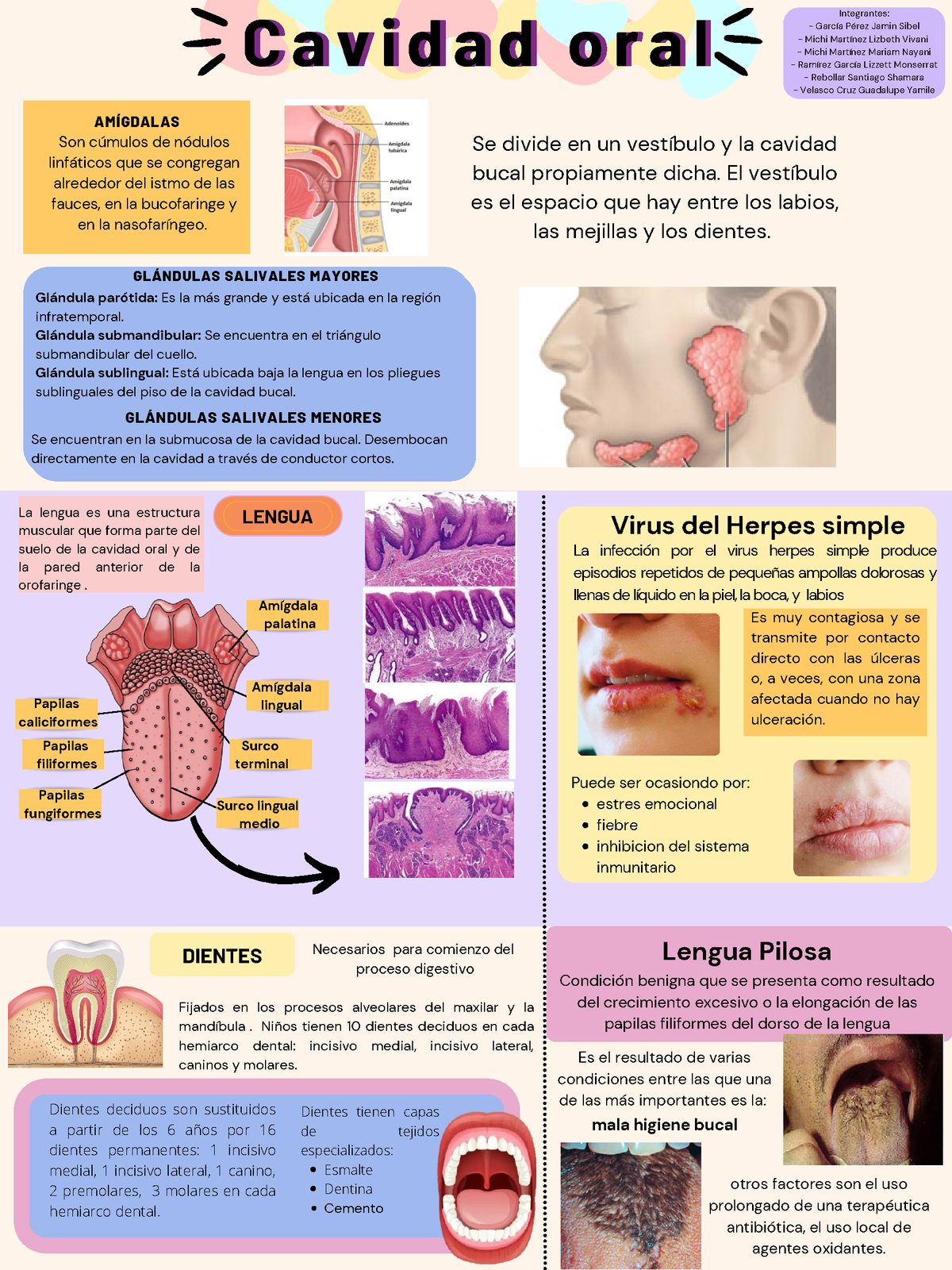 Infografia Cavidad Oral Integrantes Garc A P Rez Jamin Sibel Michi