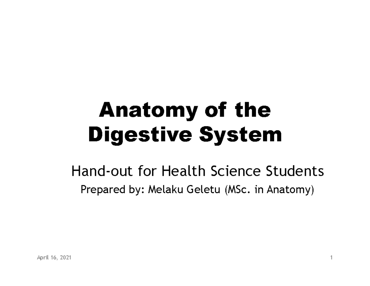 Digestive system - midwifery - Anatomy of the Digestive SystemDigestive ...