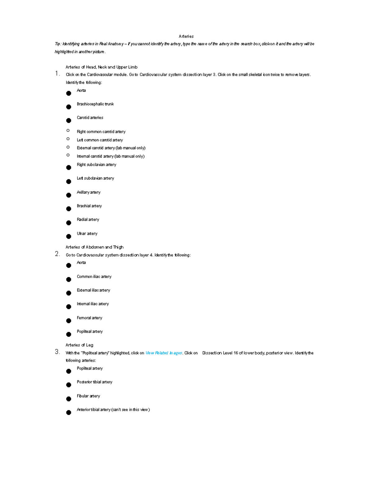 Real Anatomy Lab Guide Arteries - Arteries Tip: Identifying arteries in ...