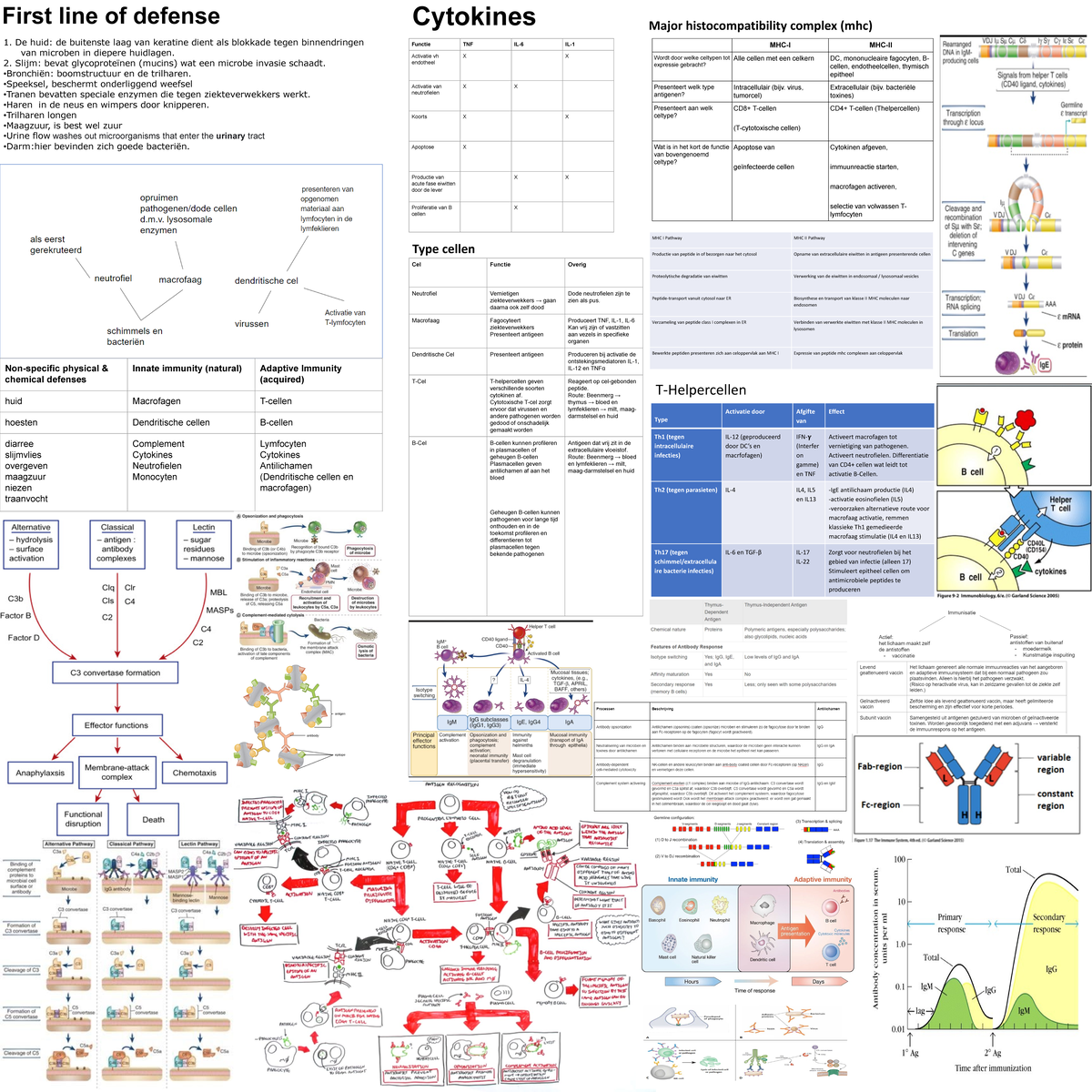 Schema Infectie & afweer wc 1-4 - 1. De huid: de buitenste laag van ...
