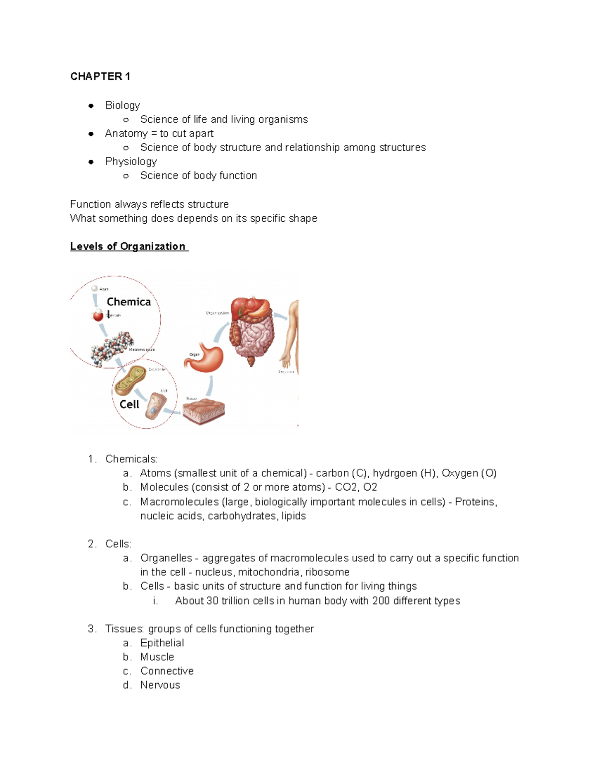 Biology 101 Semester Long Notes - CHAPTER 1 Biology Science of life and ...