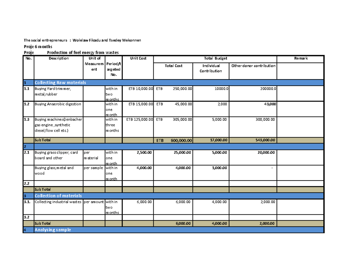 Budget Plan format - Project6 months Project Production of fuel energy ...