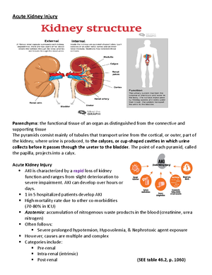 Acute Kidney Injury Notes - Acute Kidney Injury Parenchyma: the ...