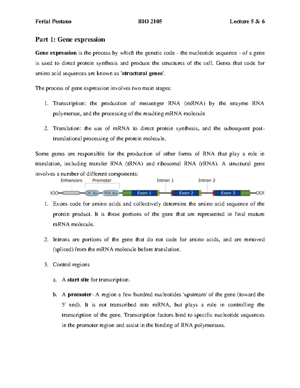 Lecture 5 6 Molecular Biology Part 1 Gene Expression Gene Expression Is The Process By 9965