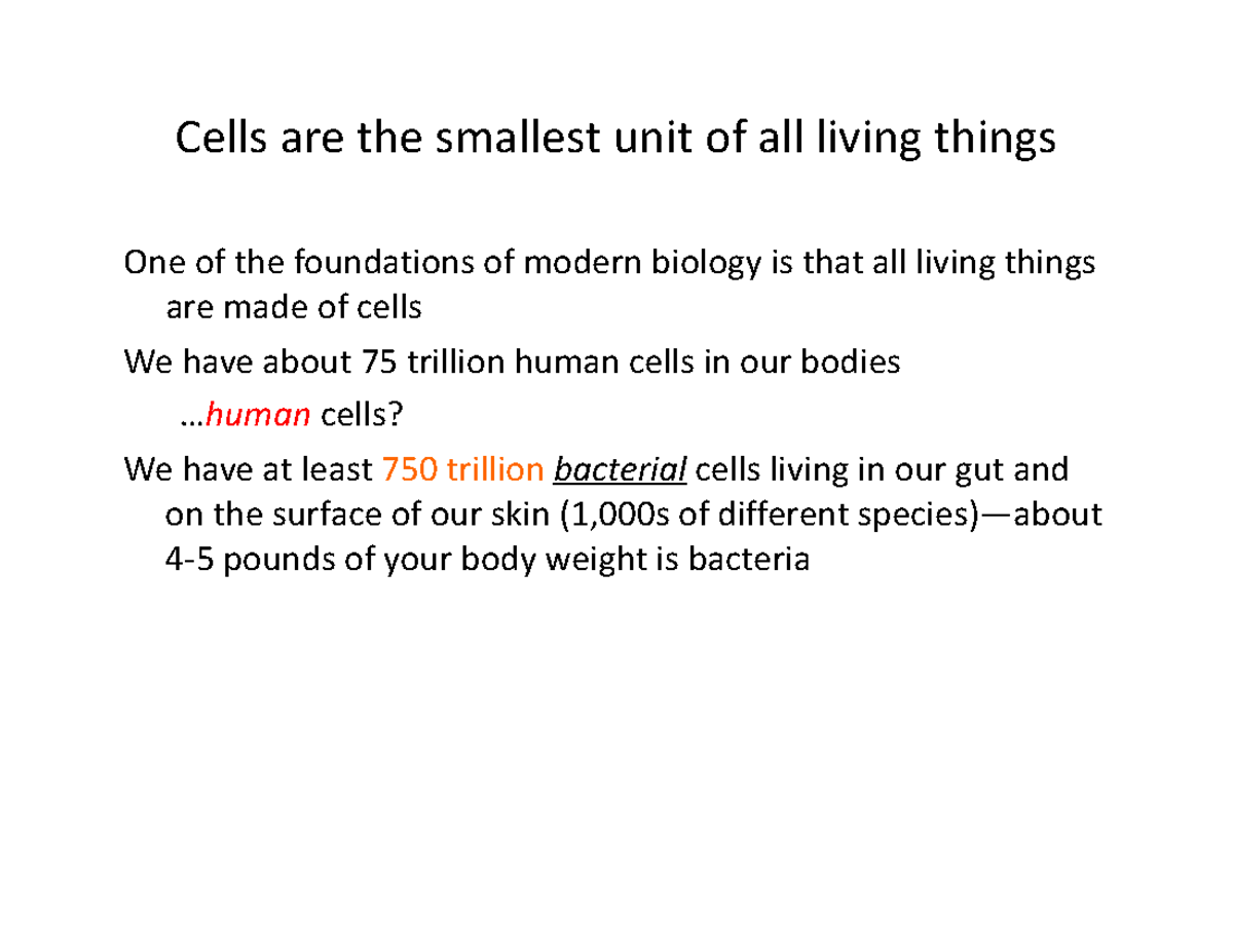 cell-anatomy-cells-are-the-smallest-unit-of-all-living-things-one-of