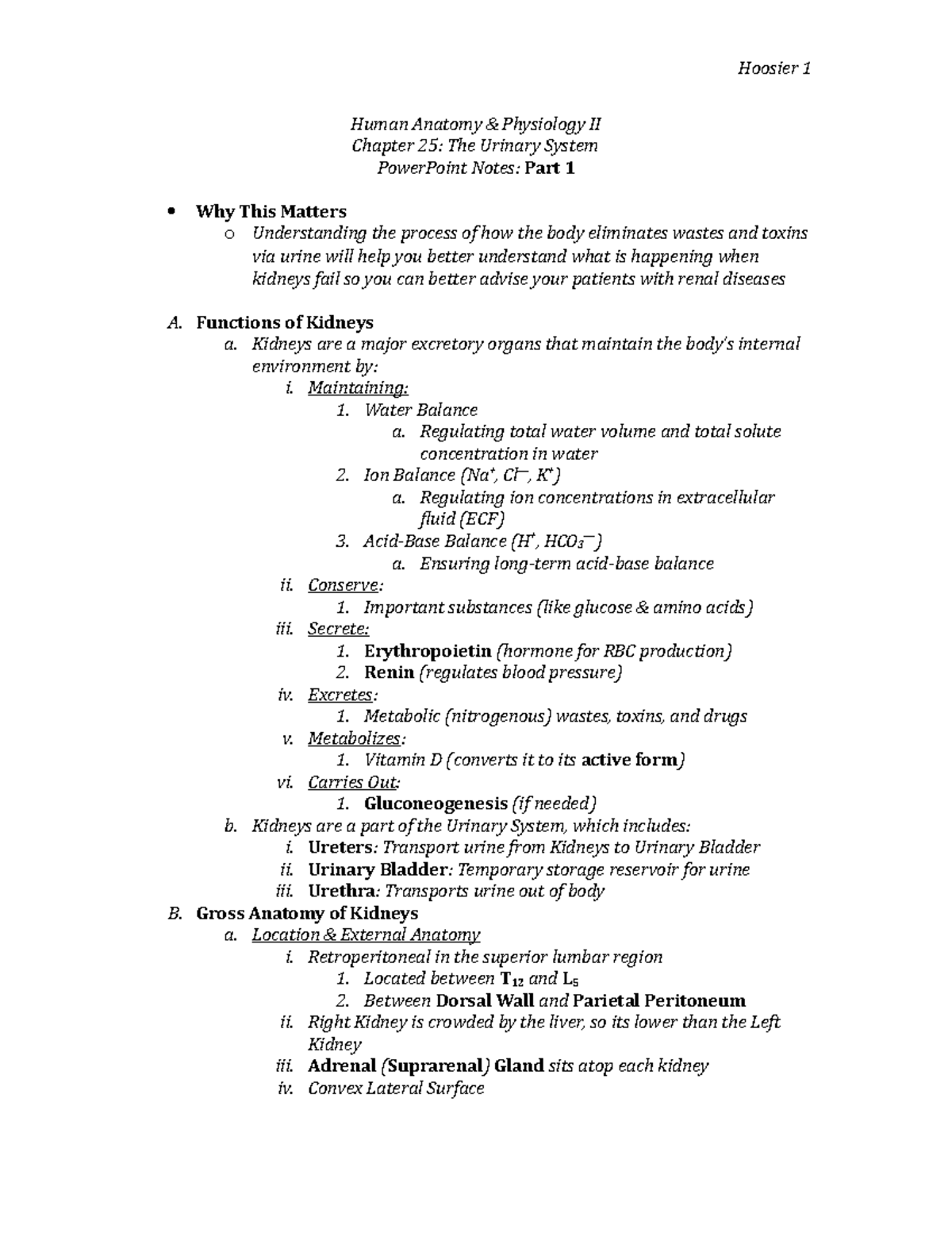 Urinary System – Overview - Human Anatomy & Physiology II Chapter 25 ...