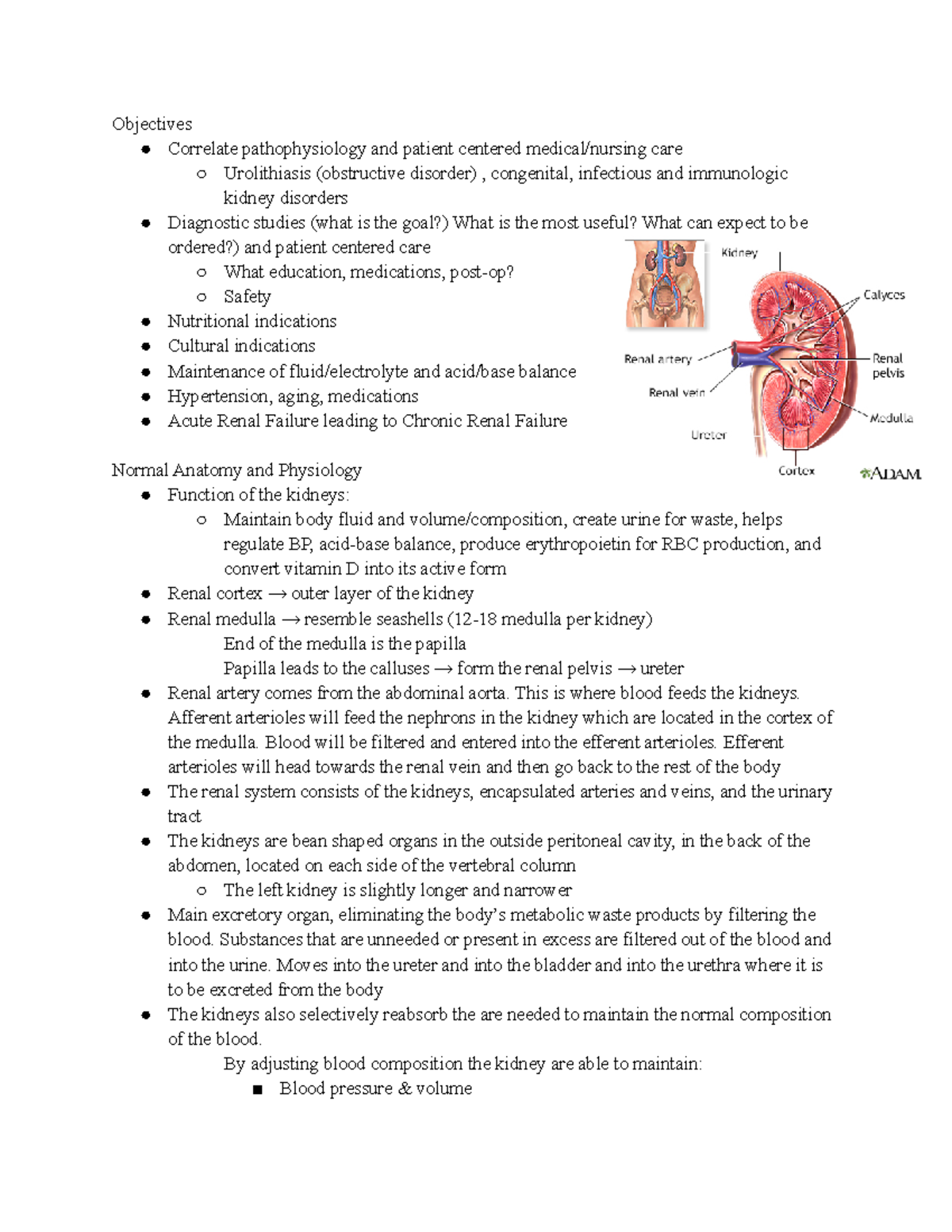 Regulation N196 - Clear organized notes on the GU system, kidneys ...