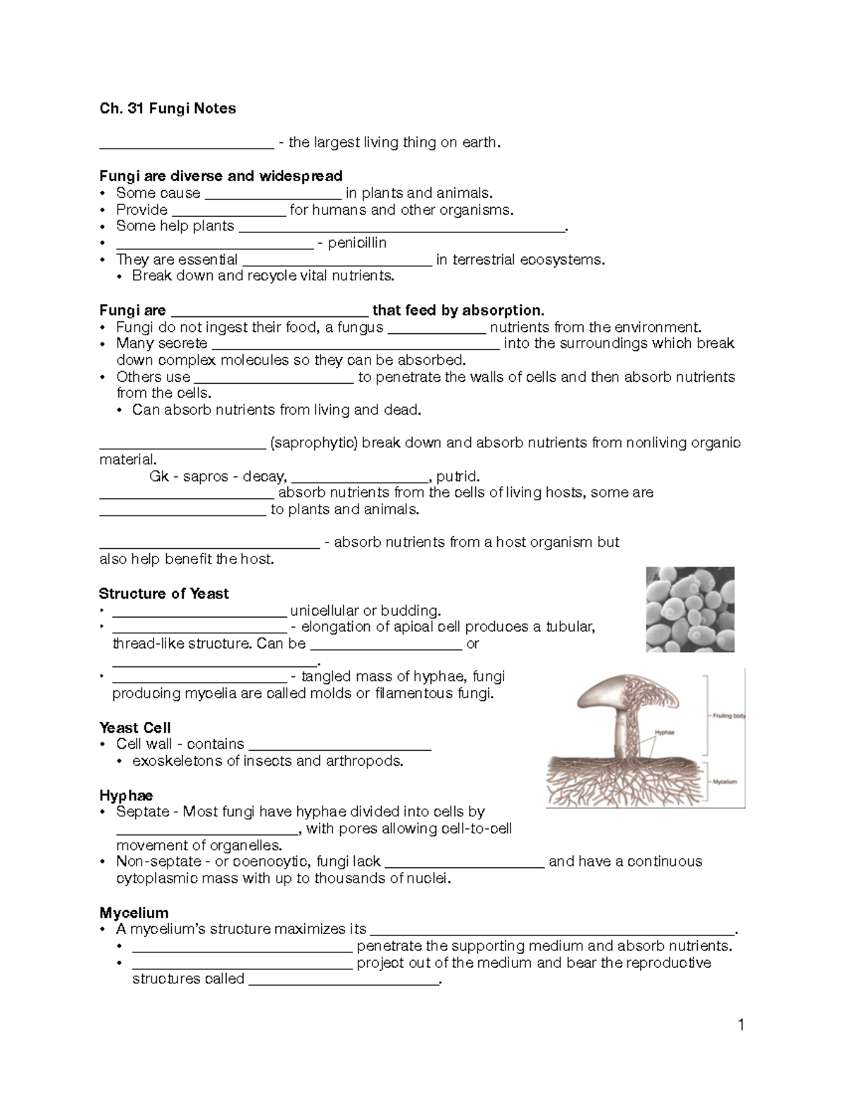 Ch. 31 Fungi Notes - Ch. 31 Fungi Notes _______________________ - the ...