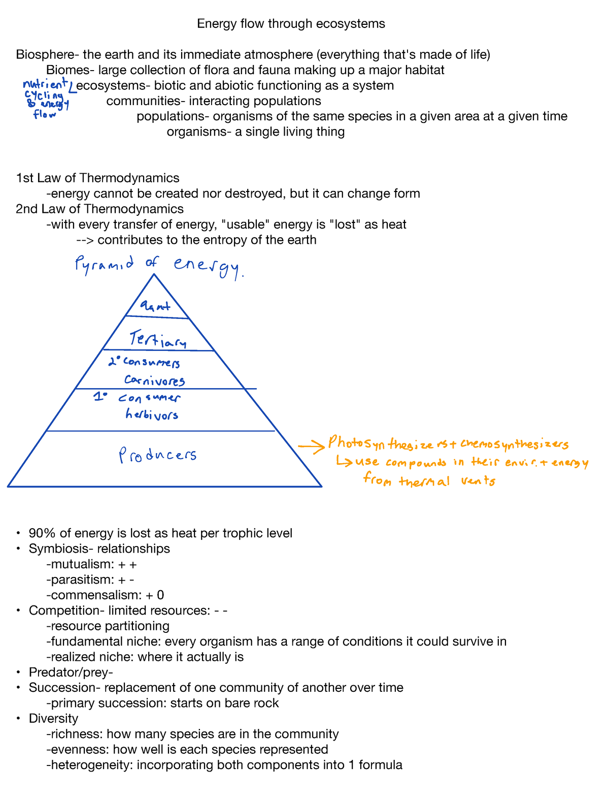 Energy flow through ecosystems - Energy flow through ecosystems ...