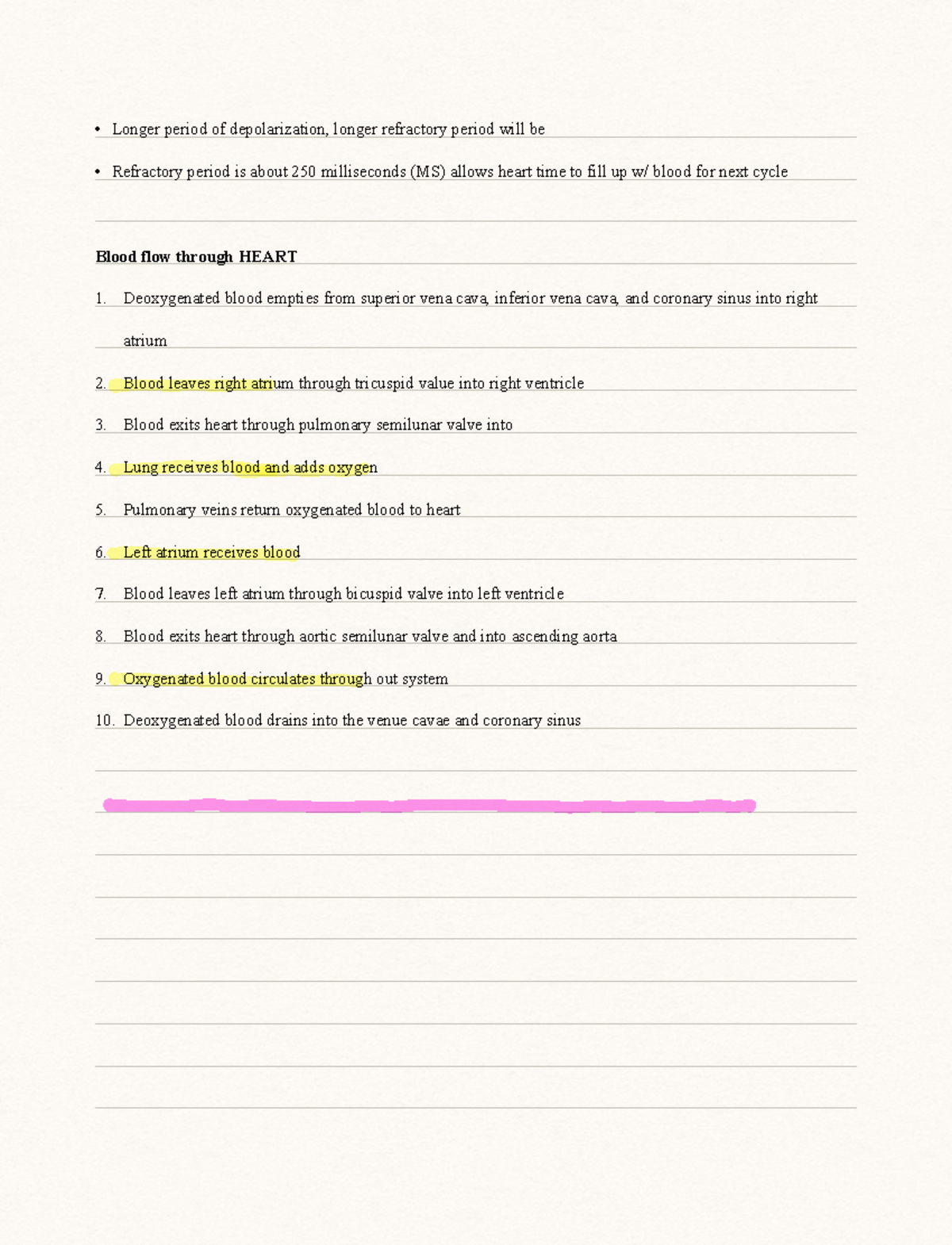 Chapter 19- the heart Copy - Longer period of depolarization, longer ...