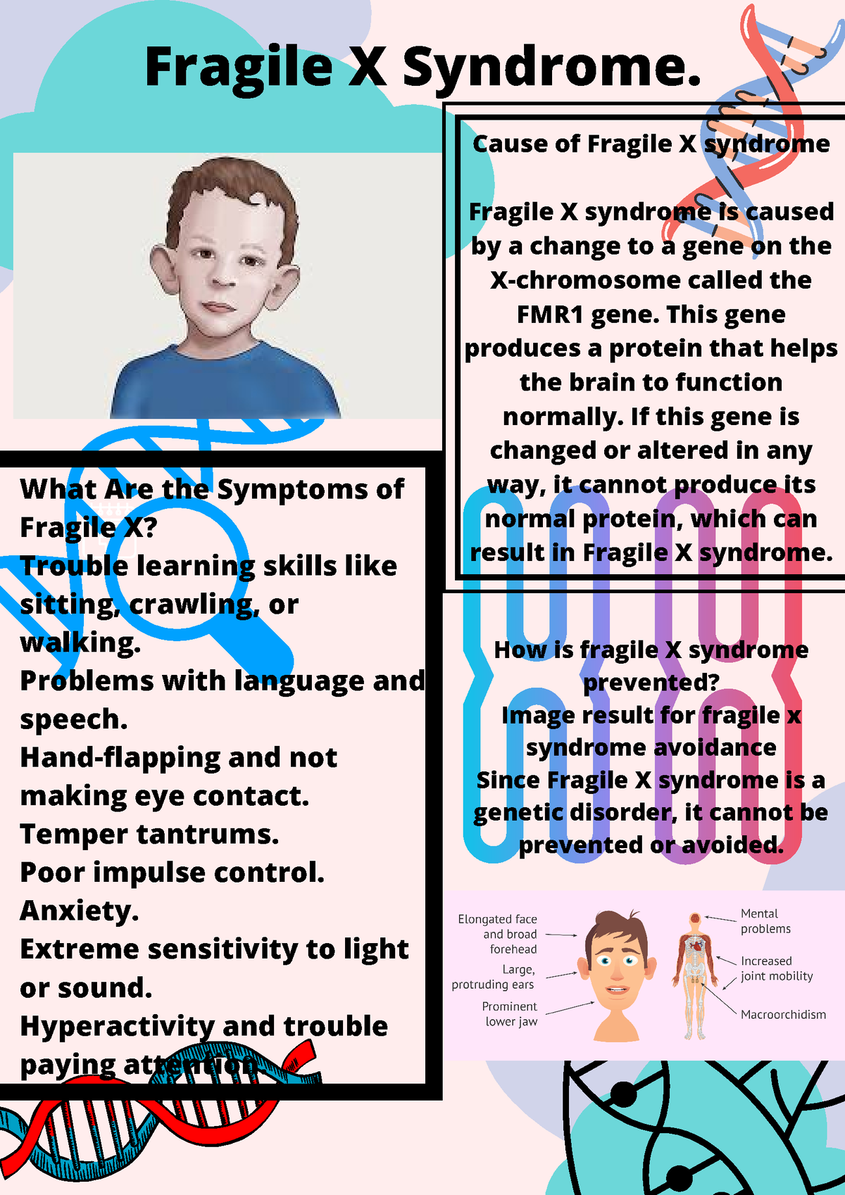 fragile-x-syndrome-ewgfzsfa-what-are-the-symptoms-of-fragile-x