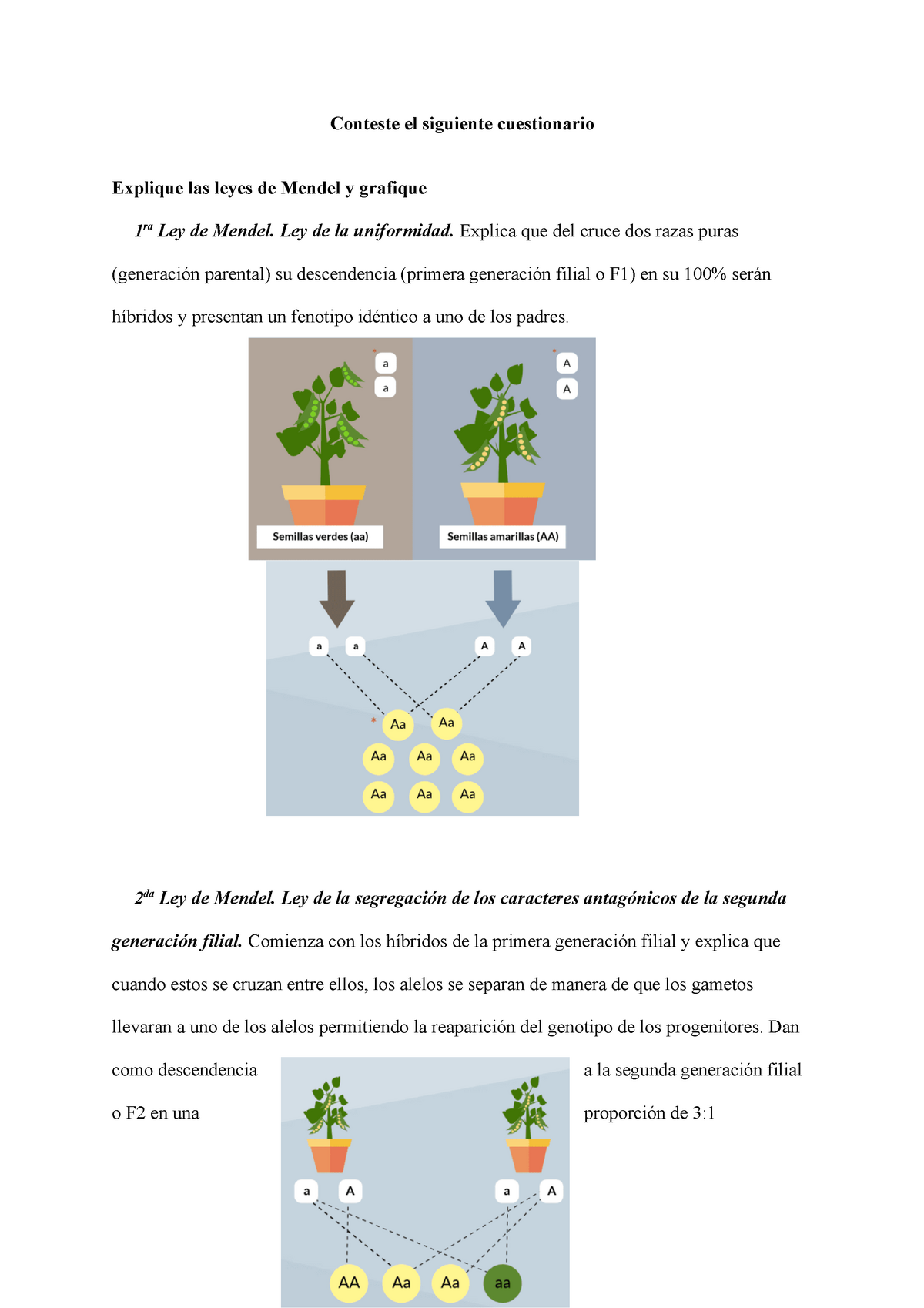 Cuestionario para estudiar - Conteste el siguiente cuestionario Explique  las leyes de Mendel y - Studocu