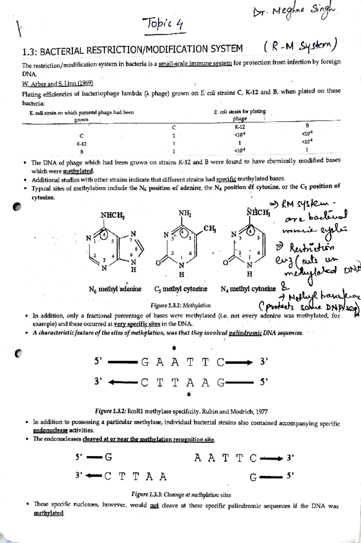 Bacterial Restriction or modification system - 1: BACTERIAL RESTRICTION ...