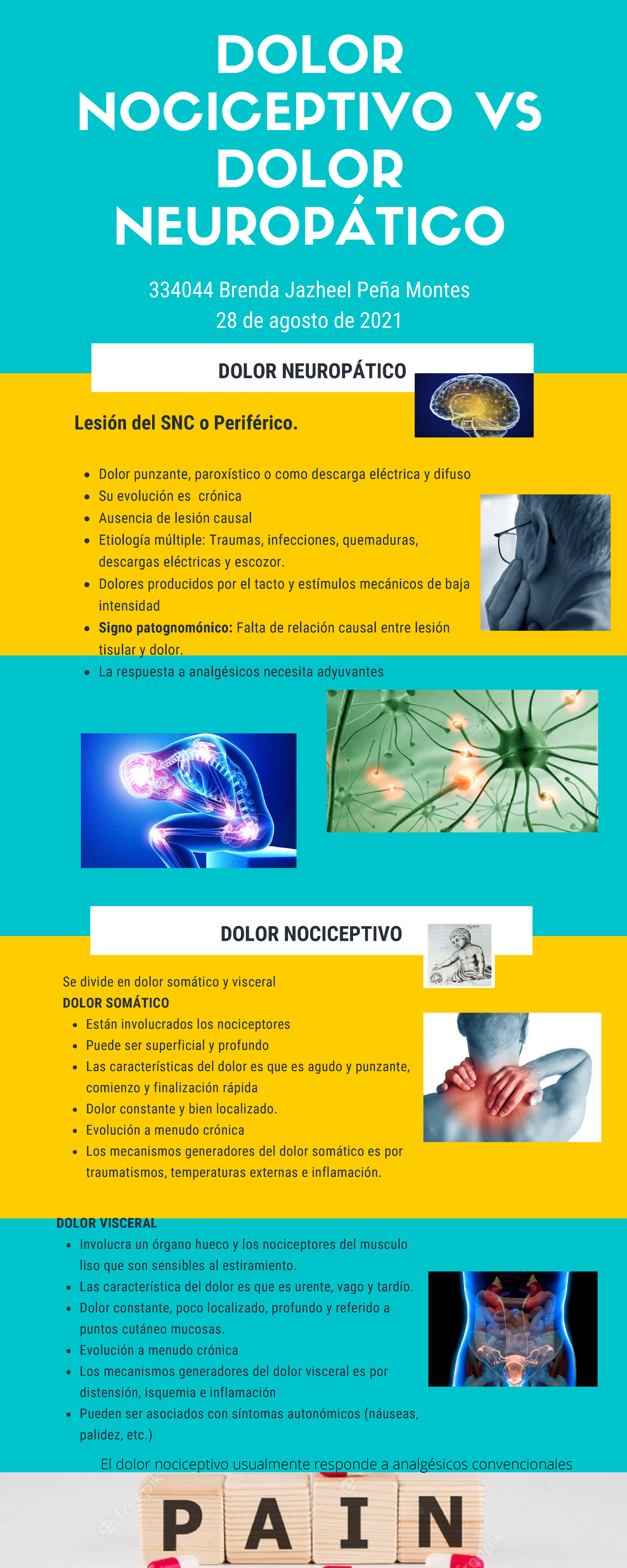 Dolor Nociceptivo Vs Dolor Neuropàtico Dolor NeuropÁtico Contexto Sitioincreible Dolor 1863