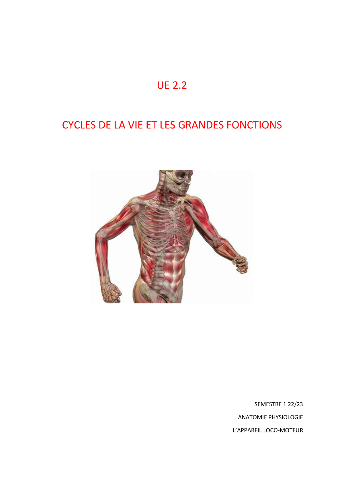 Appareil Locomoteur Ifsi Ue Cycles De La Vie Et Les Grandes Fonctions Semestre