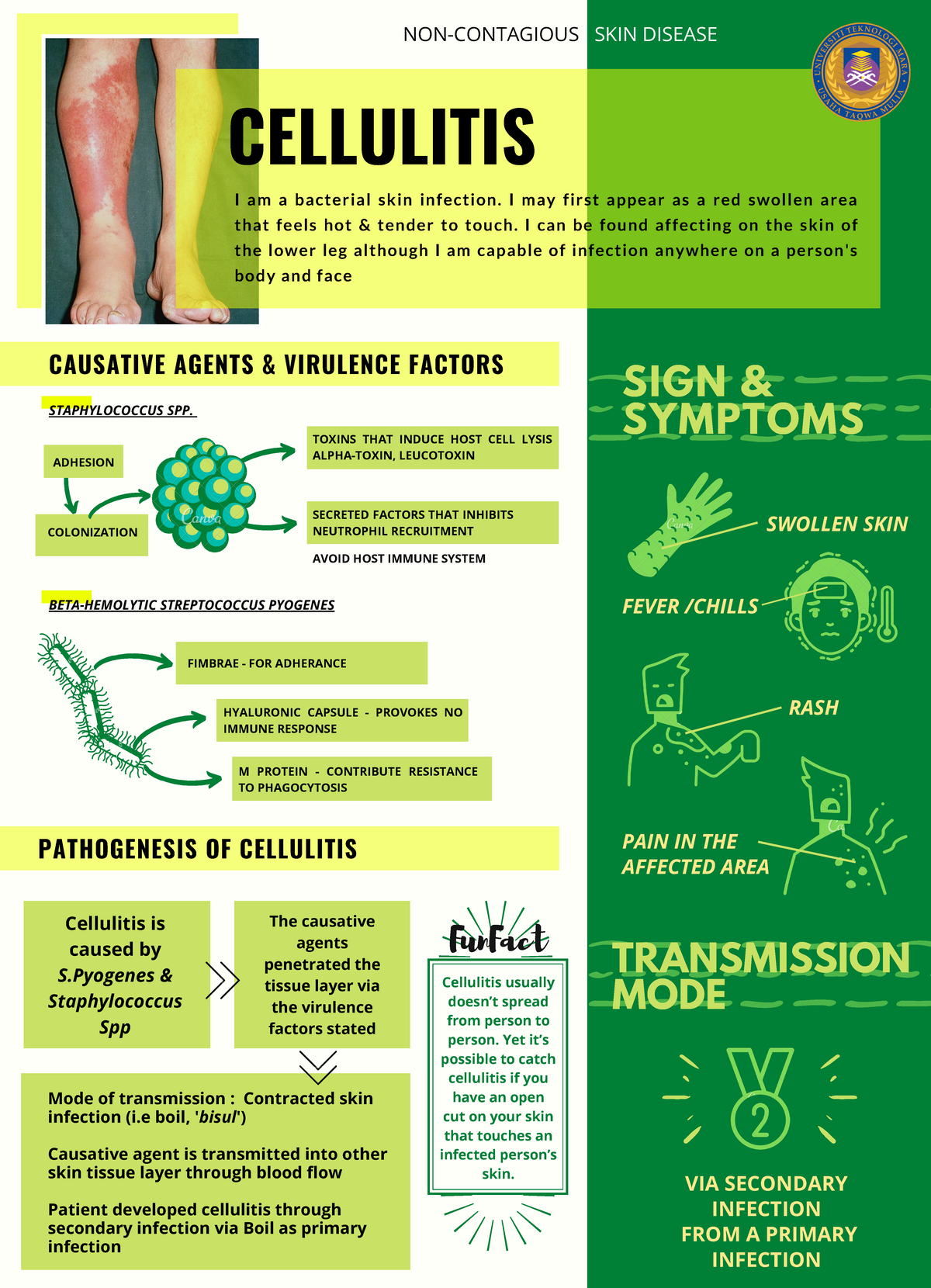 cellulitis case study journal