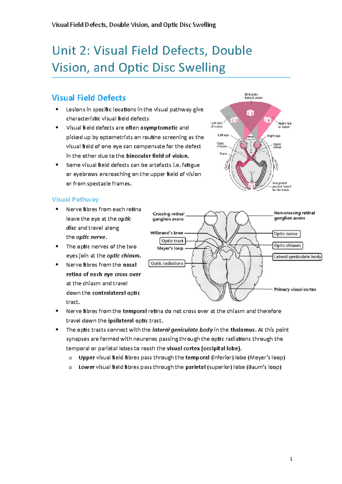 2. Visual Field Defects, Double Vision, and Optic Disc Swelling Some