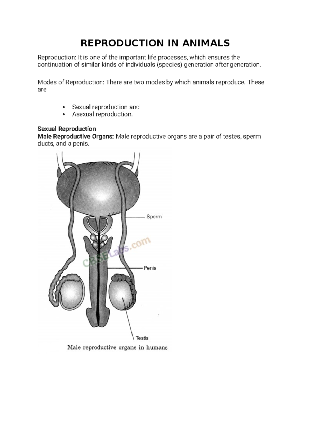 Reproduction IN Animals - REPRODUCTION IN ANIMALS Reproduction: It is