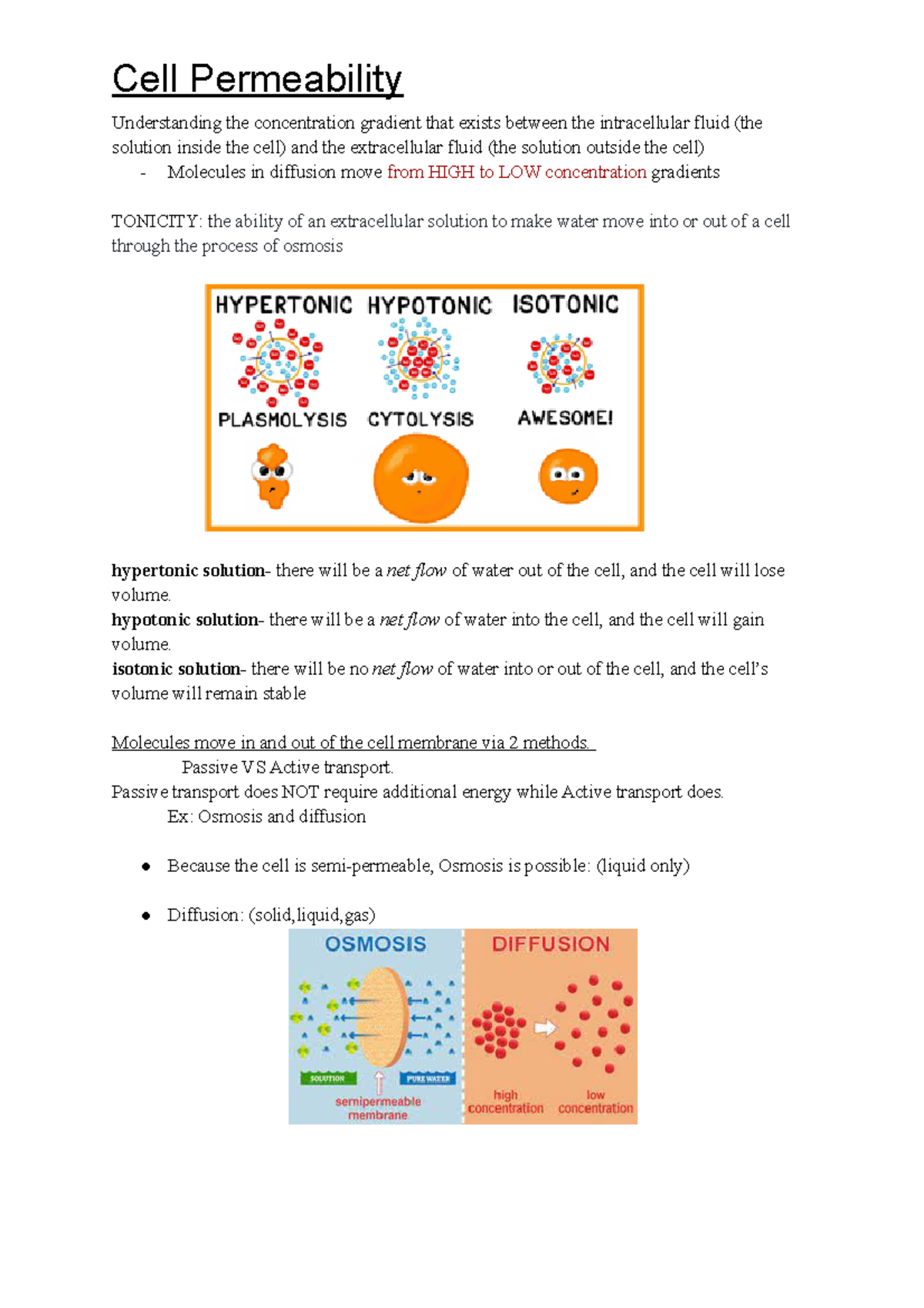 Cell Permeability (1) - Professor Mercer Study Material - Cell ...